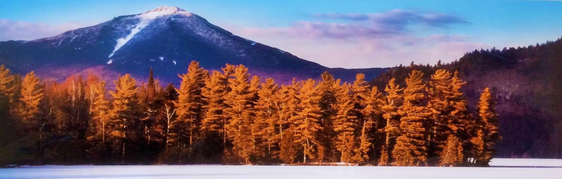 Adirondack Spruce Lodge photo 87