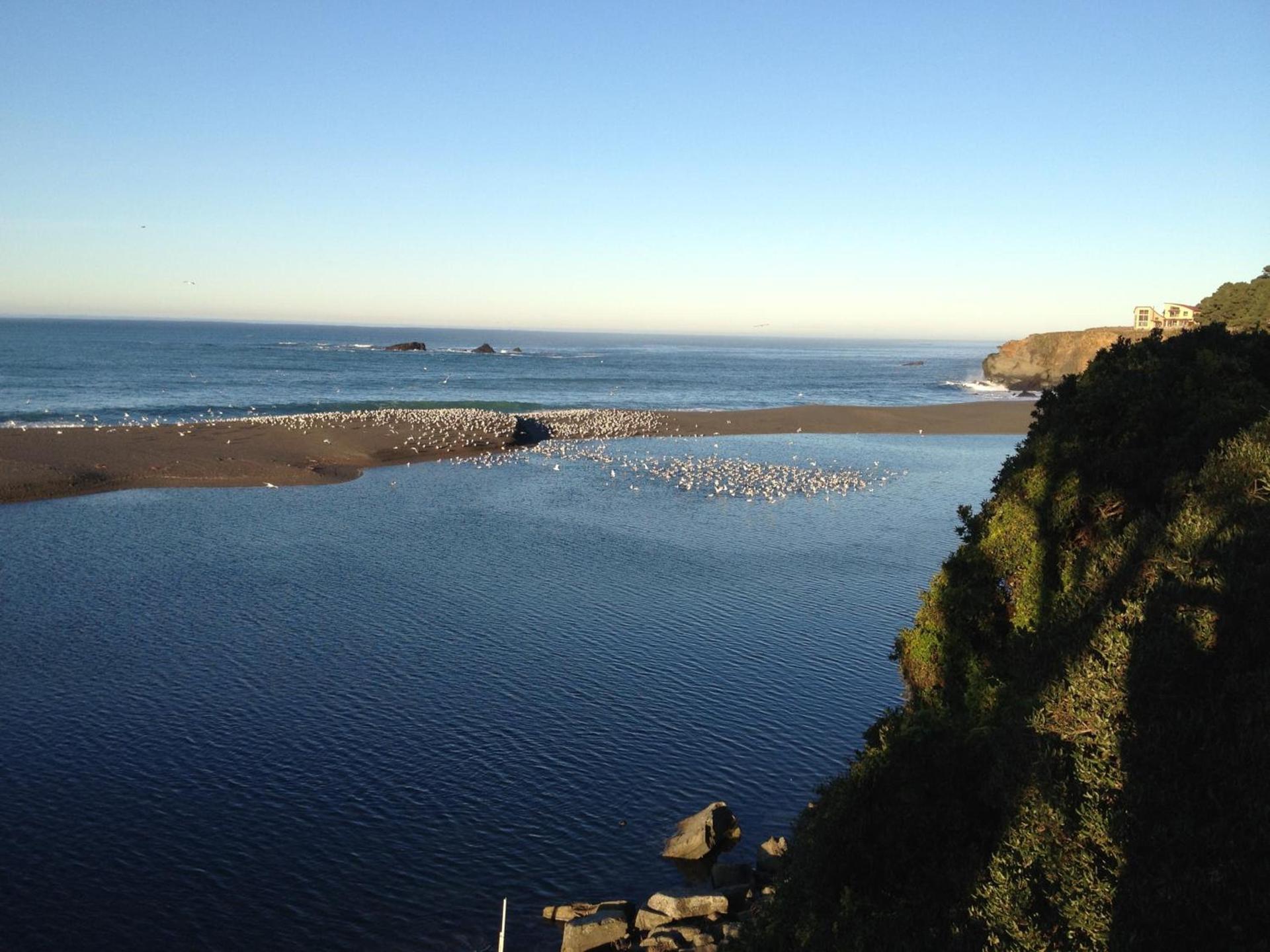 Gualala Surf Inn on the ocean bluff photo 10