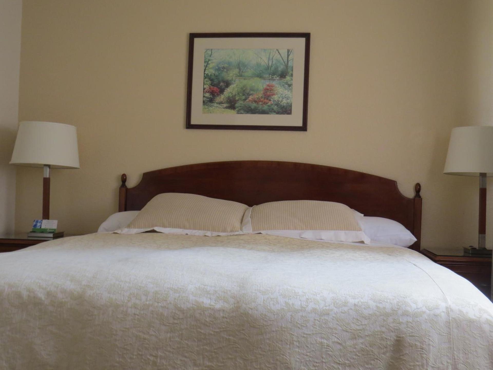 Laguna Lodge photo 2