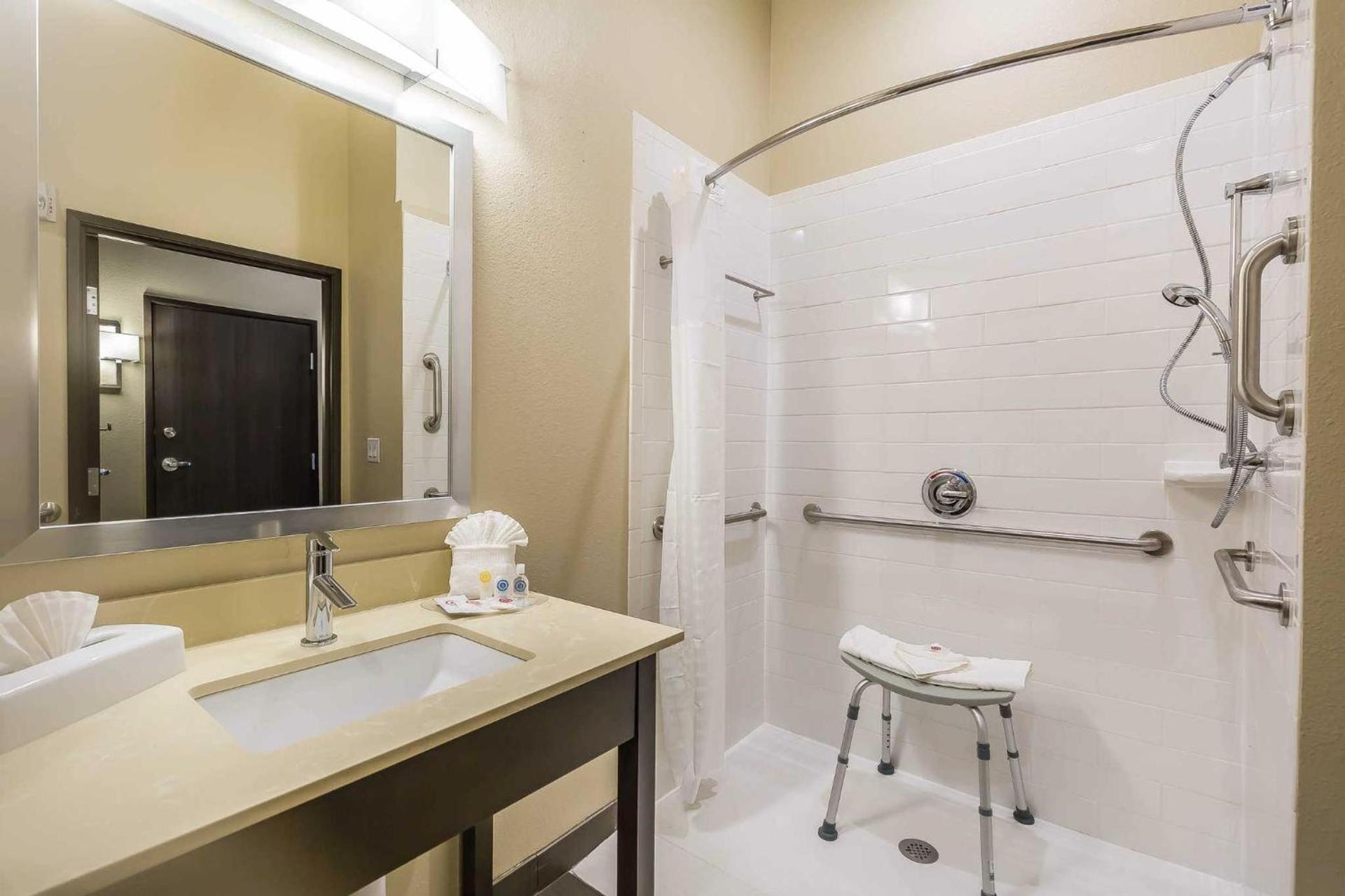 Comfort Suites Near Sam Houston Race Park photo 26