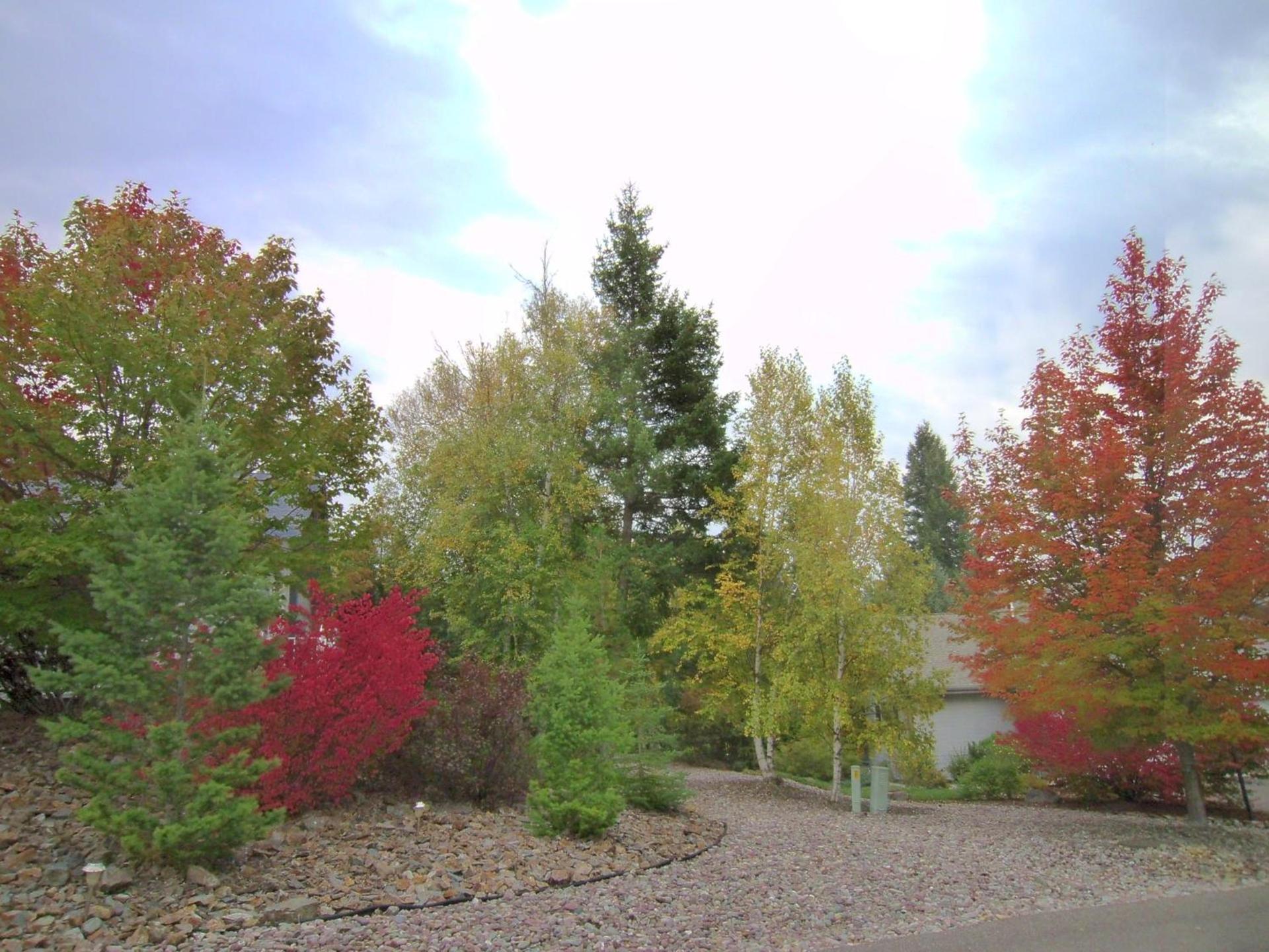 Meadow Lake Resort & Condos photo 28