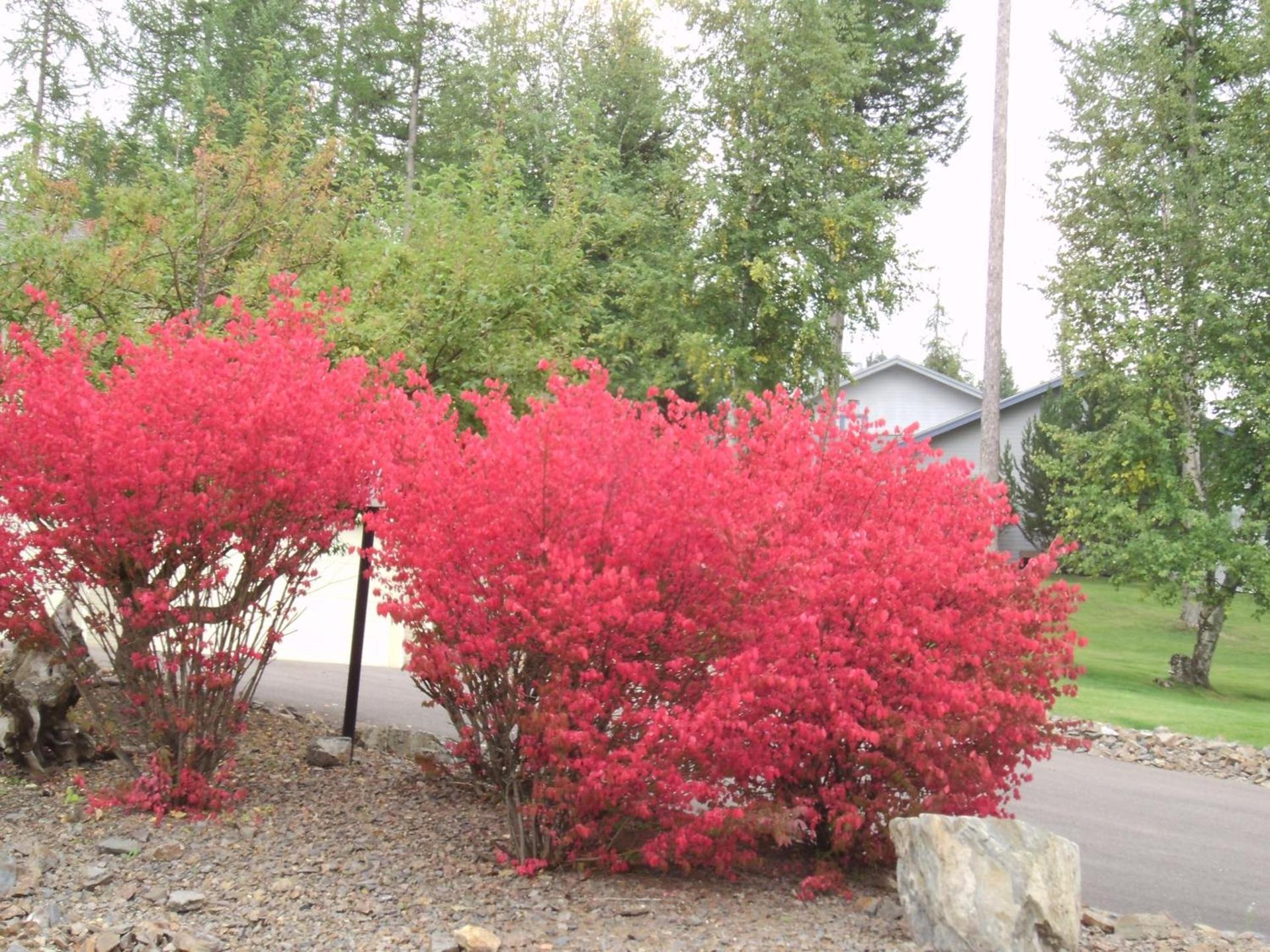 Meadow Lake Resort & Condos photo 27