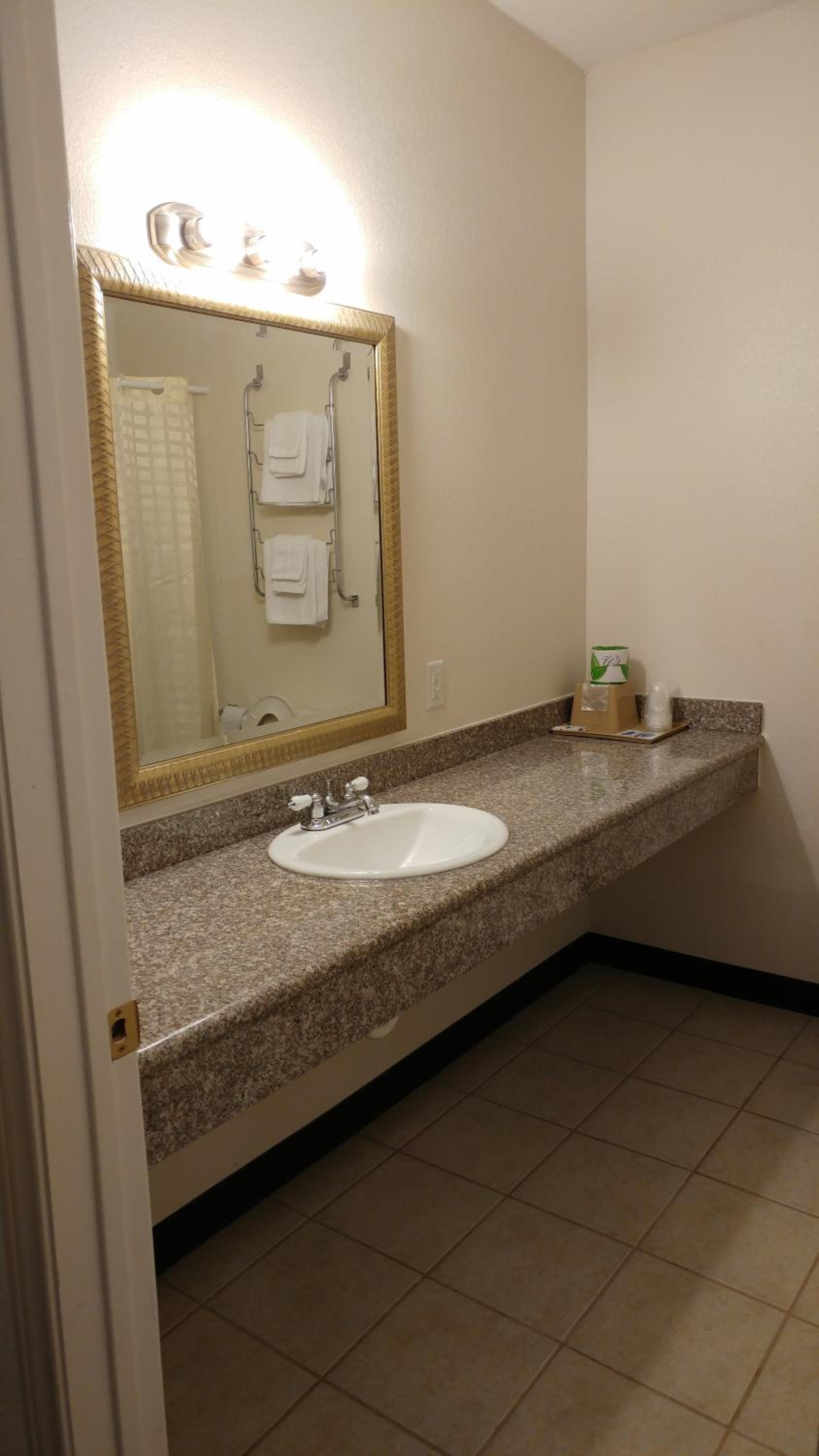 Country Regency Inn & Suites photo 29
