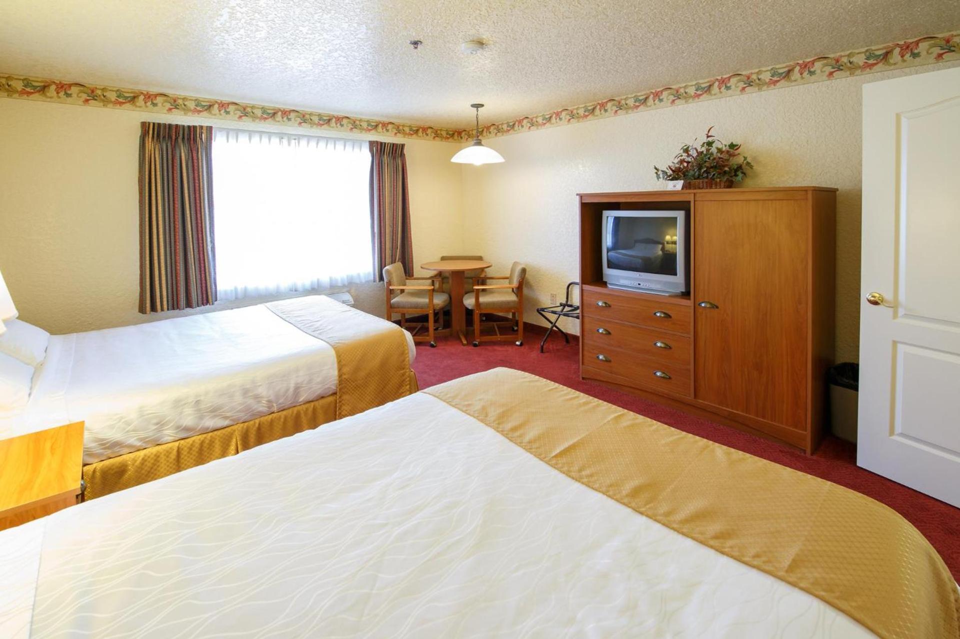 Murphys Suites photo 6