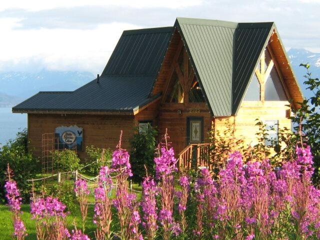 Alaska Adventure Cabins photo 4