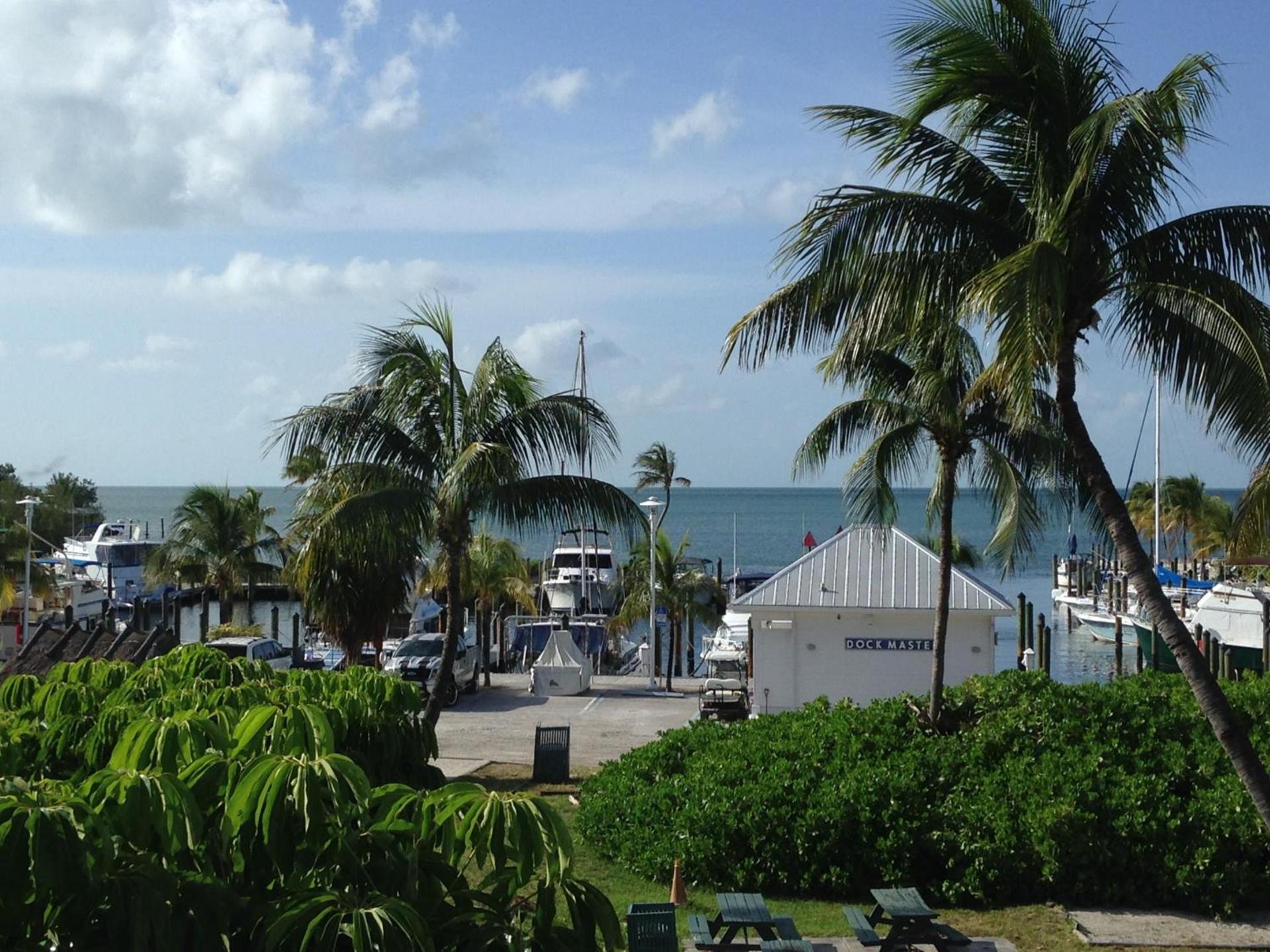 Banana Bay Resort & Marina photo 71