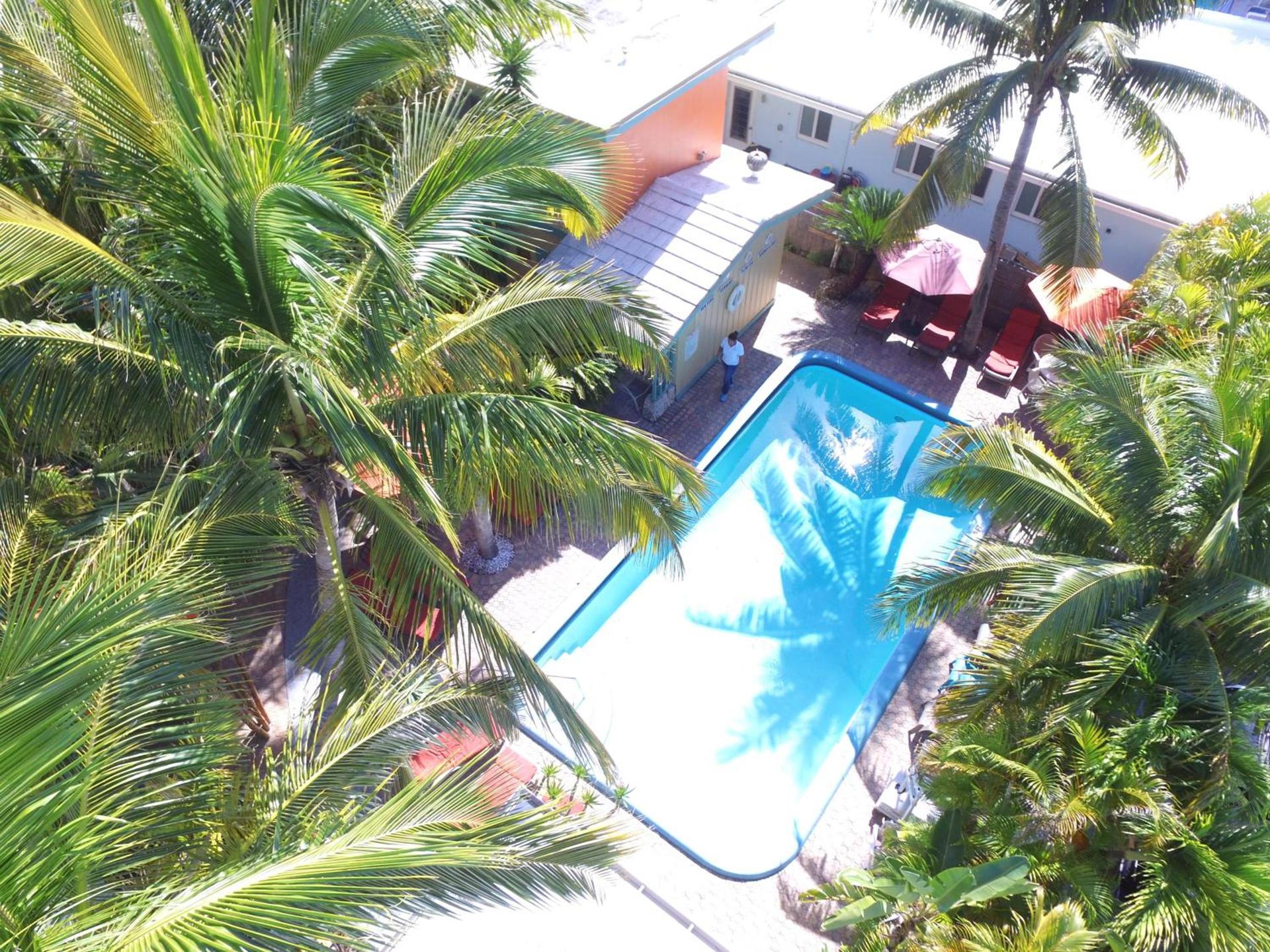 Best Florida Resort photo 3