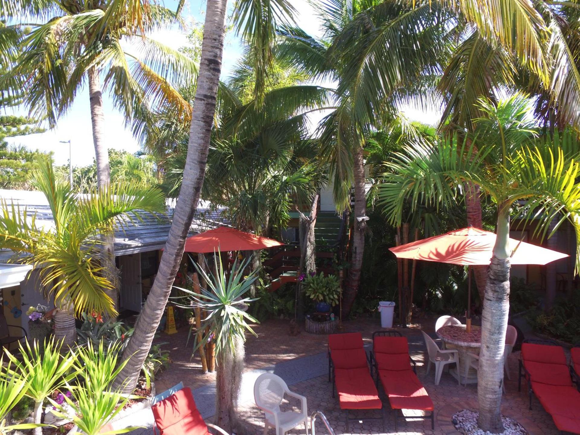 Best Florida Resort photo 2
