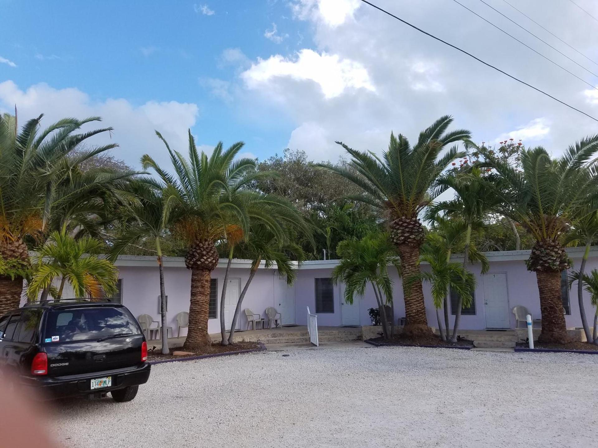 Siesta Motel photo 1