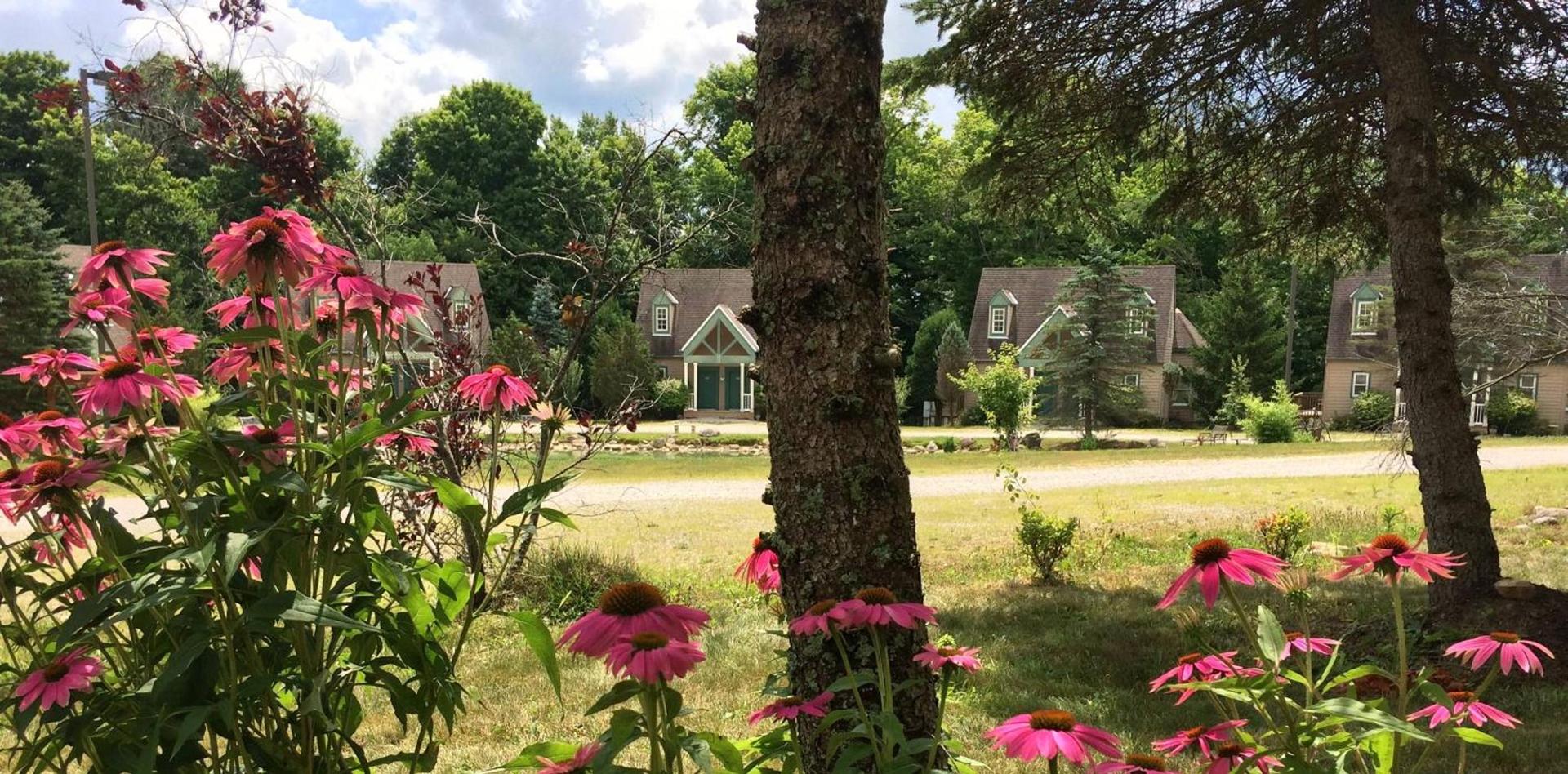 Spruce Hill Inn & Cottages photo 25