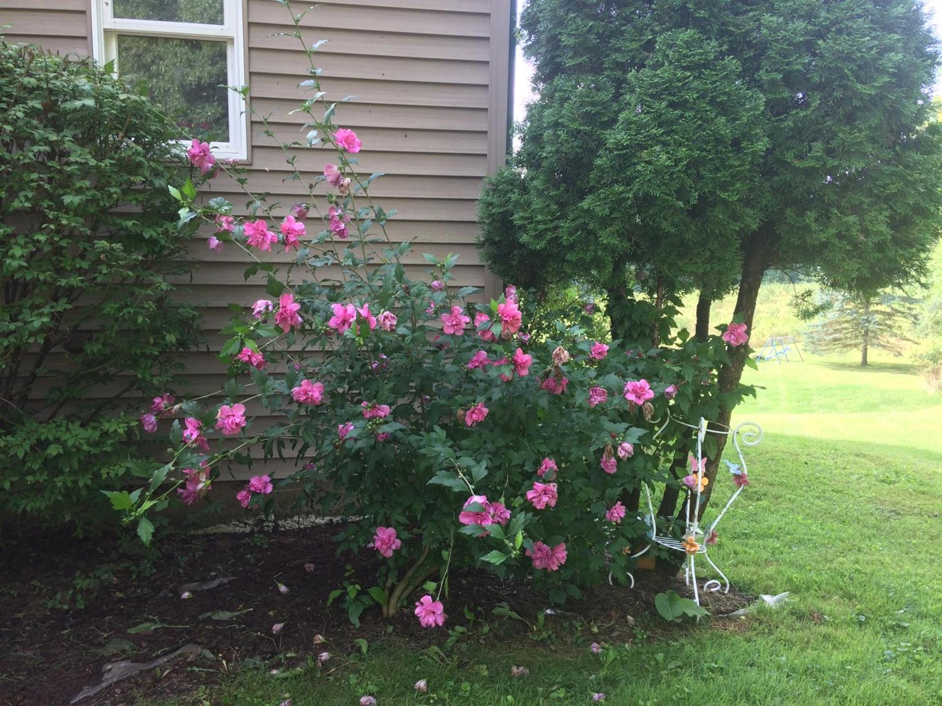 Spruce Hill Inn & Cottages photo 31