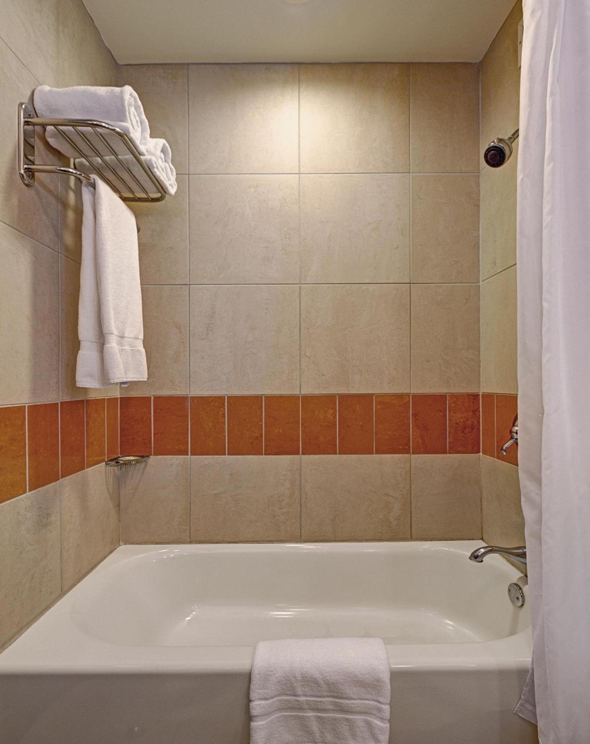 Hotel Giraffe by Library Hotel Collection photo 6