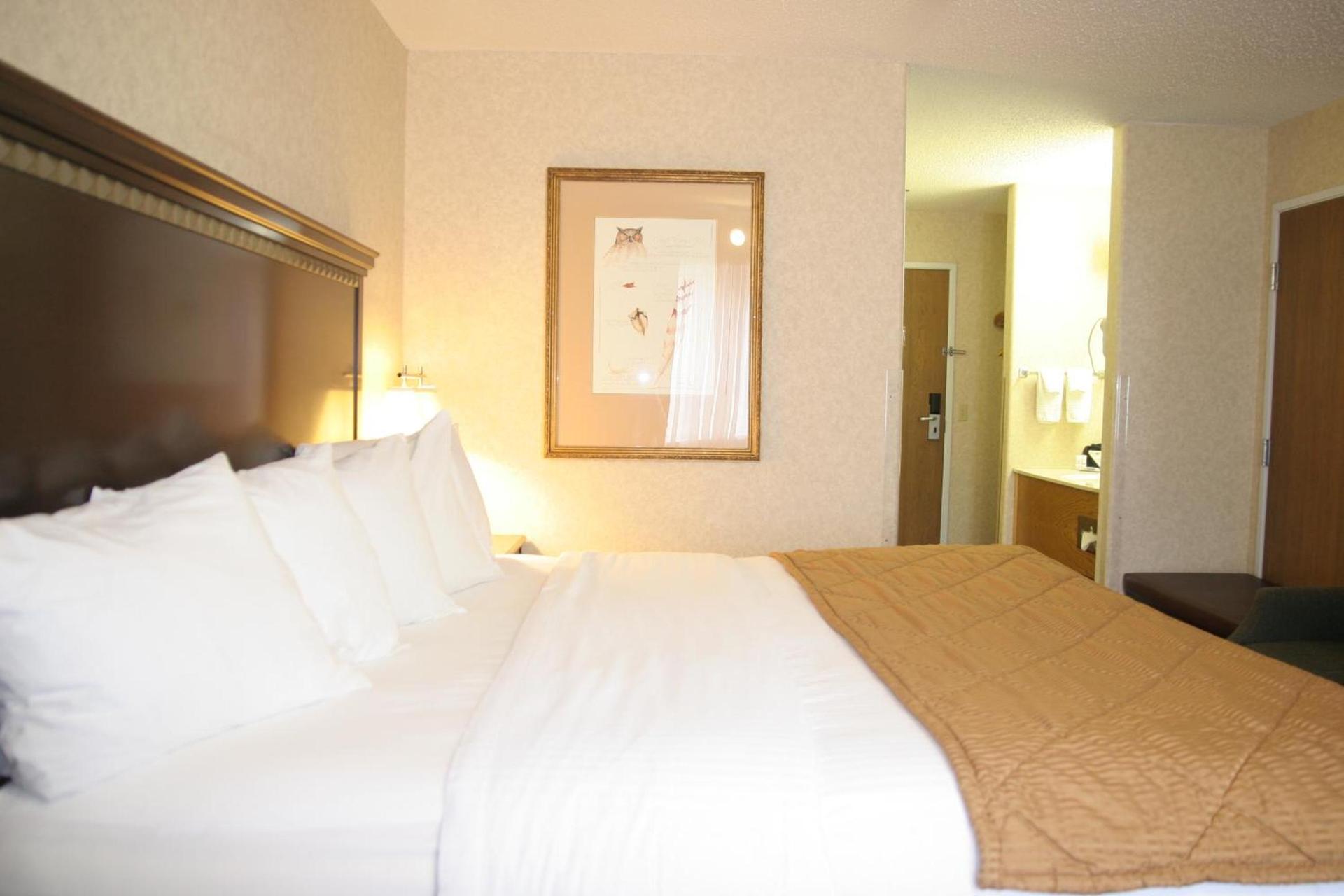Best Western Montrose Inn photo 26