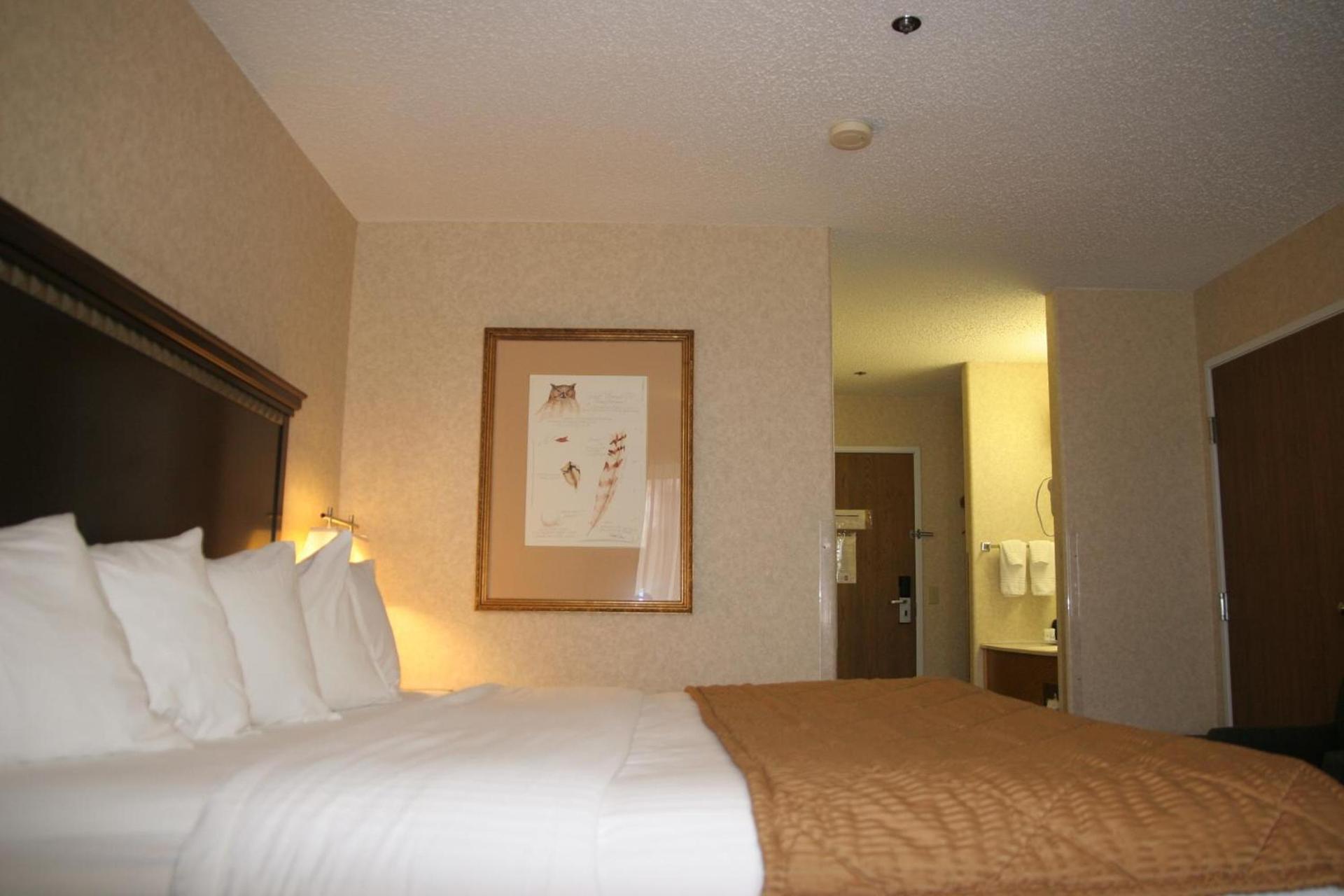 Best Western Montrose Inn photo 22