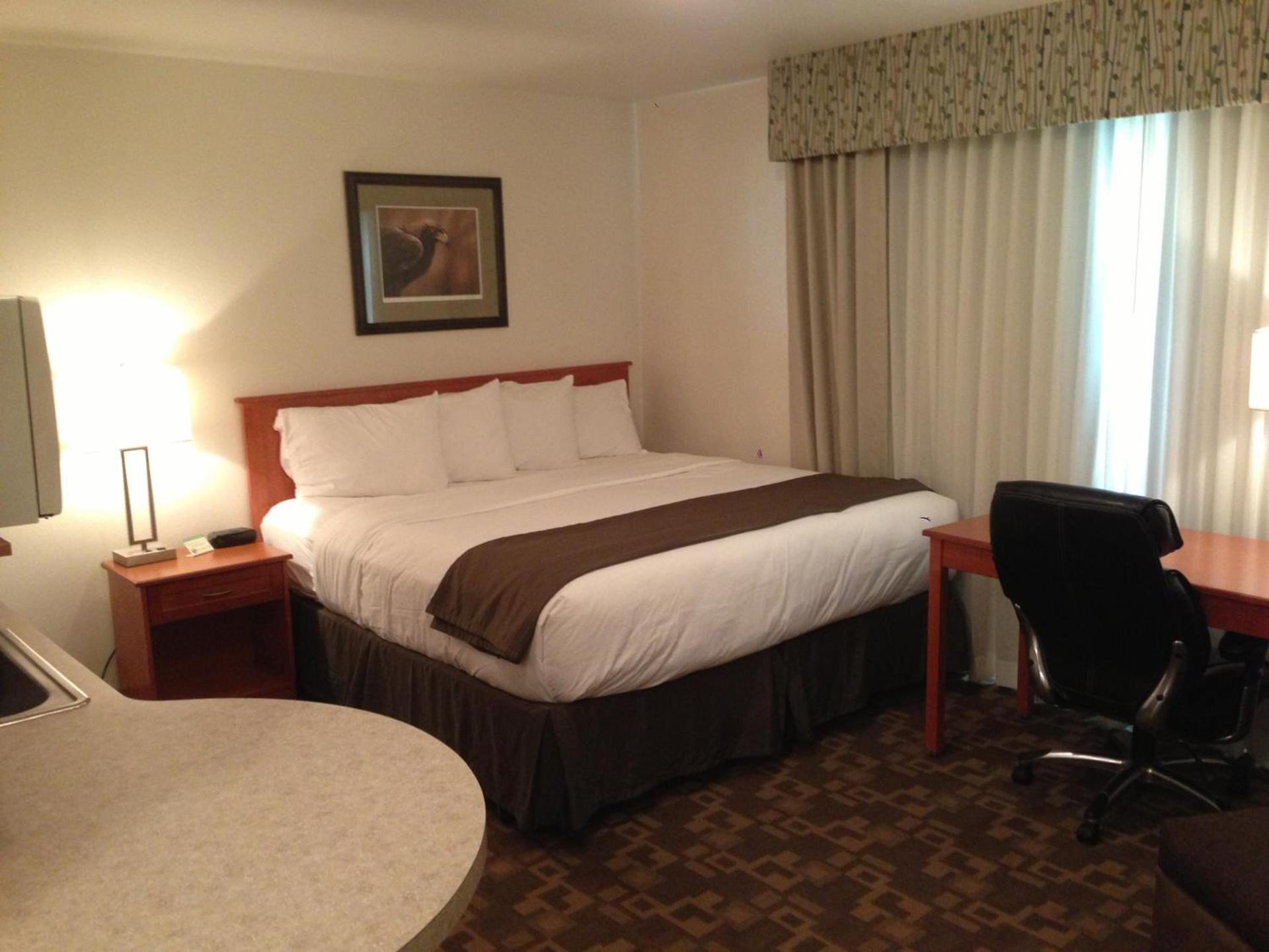 Alaska's Select Inn Wasilla photo 11