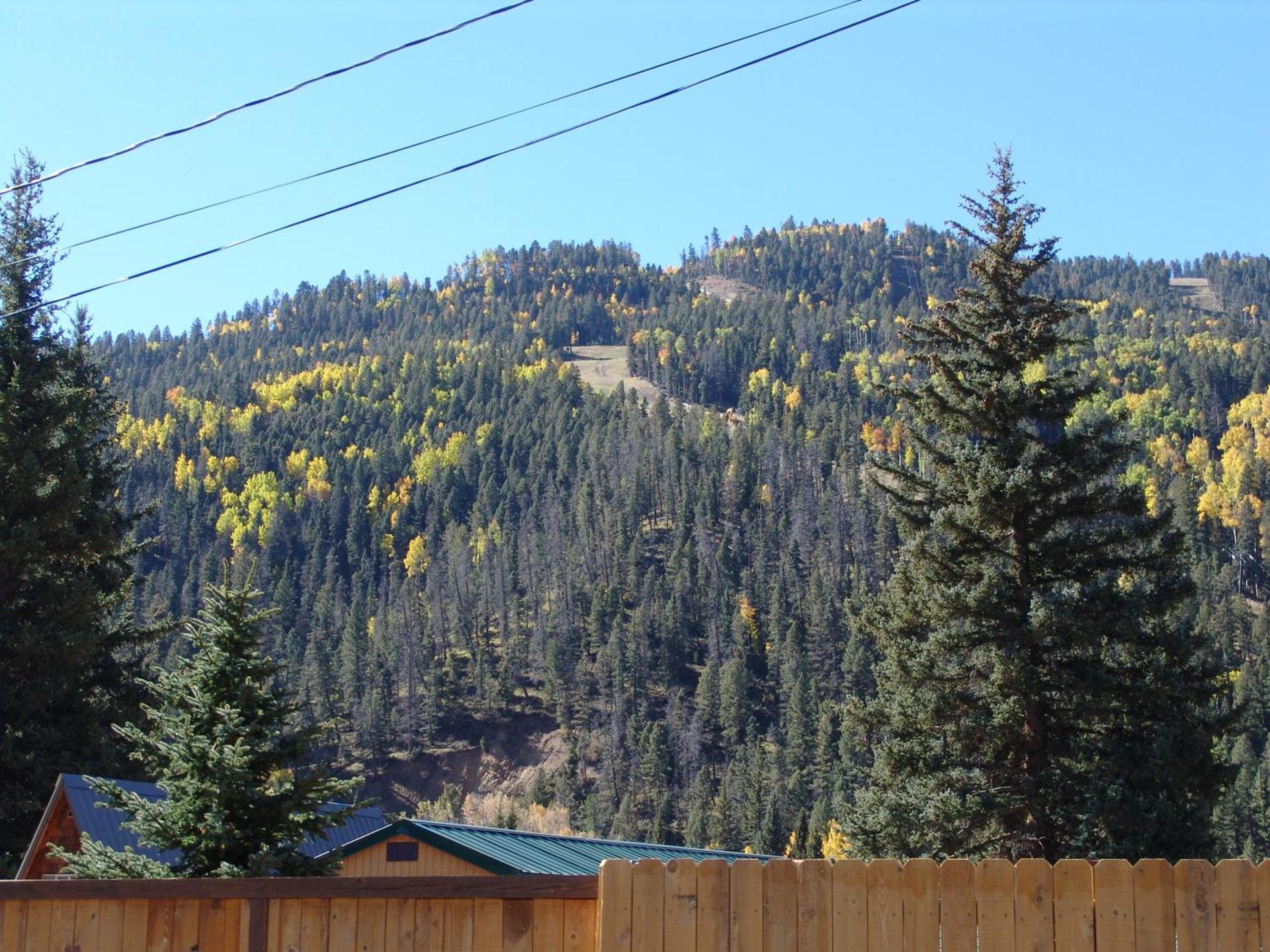 Deer Lodge photo 16