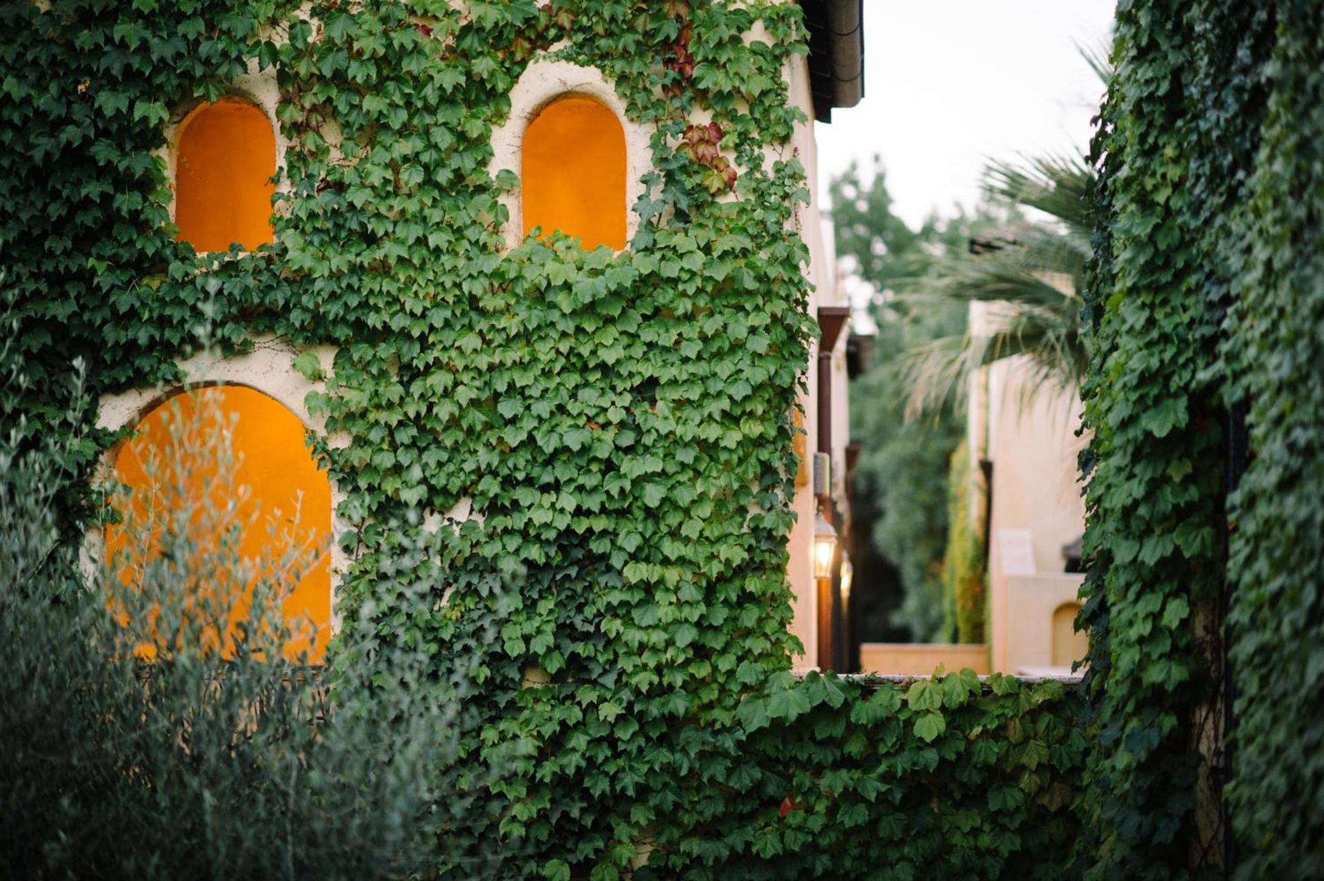 Kenwood Inn & Spa photo 29