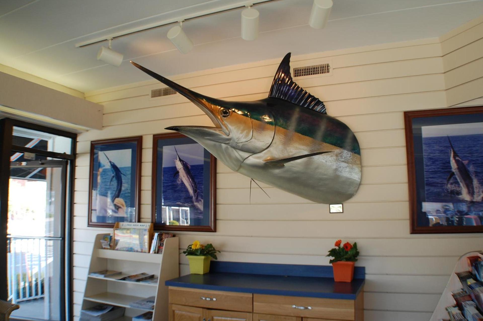 The Spinnaker photo 35