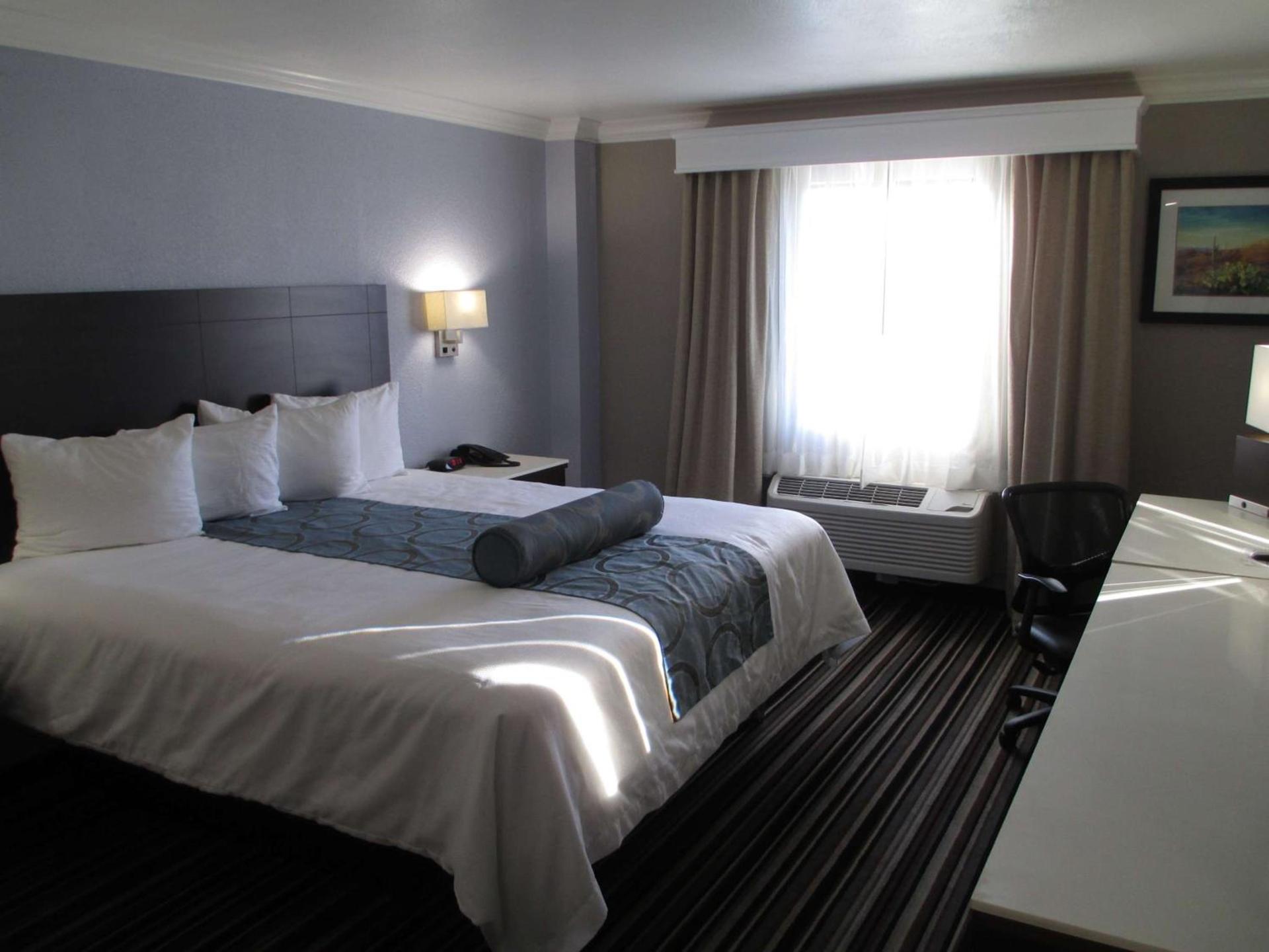 Best Western Plus Diamond Valley Inn photo 14