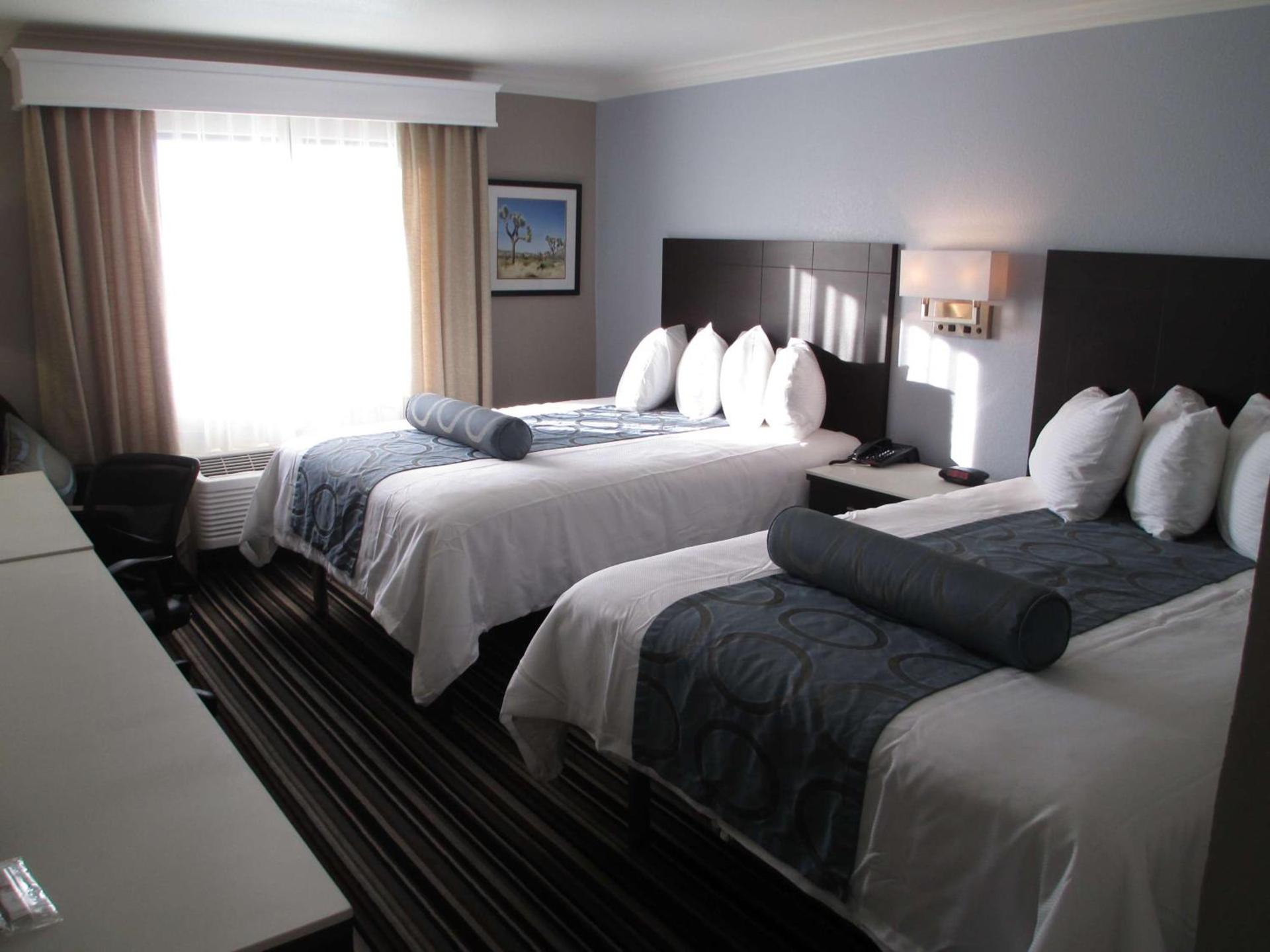 Best Western Plus Diamond Valley Inn photo 16