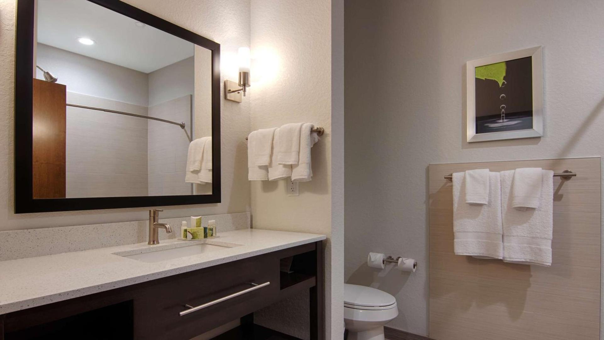 Best Western Plus College Station Inn & Suites photo 16