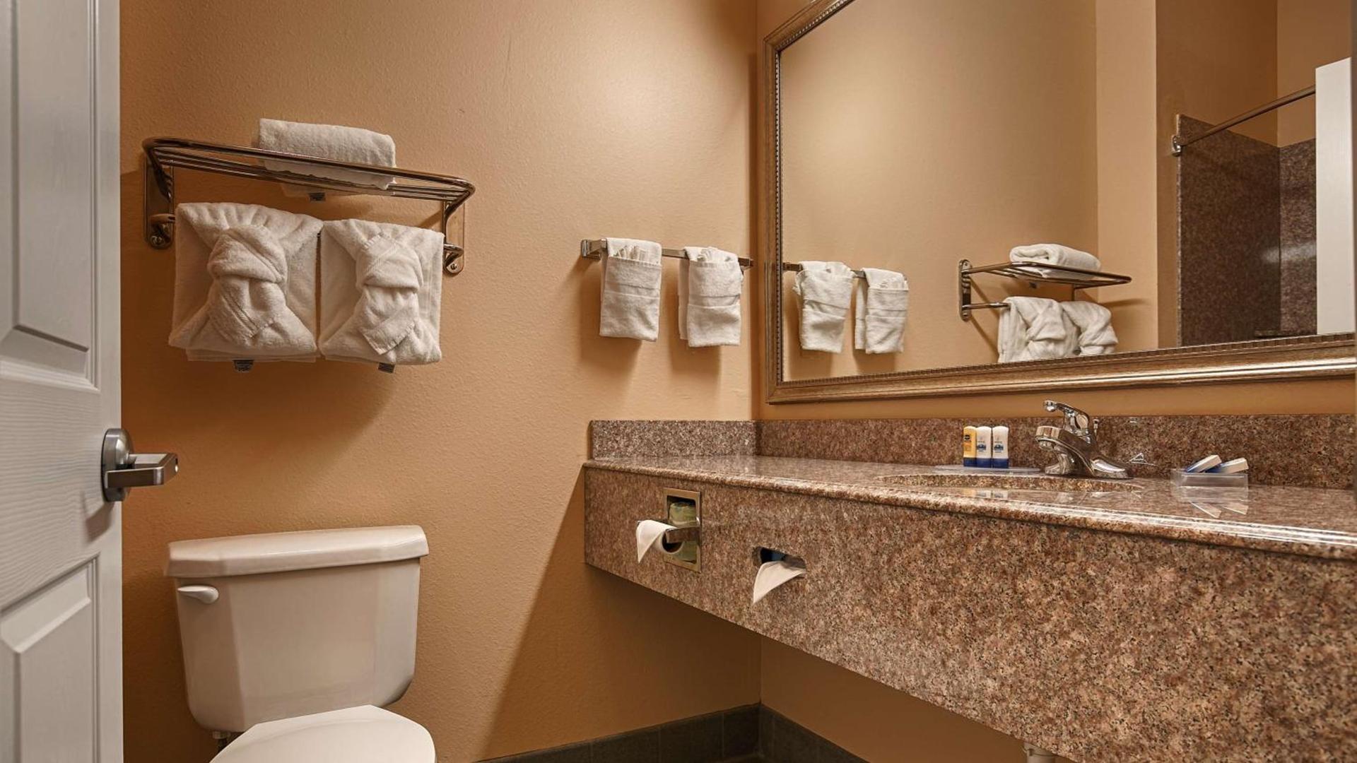 Best Western Plus New Caney Inn & Suites photo 2