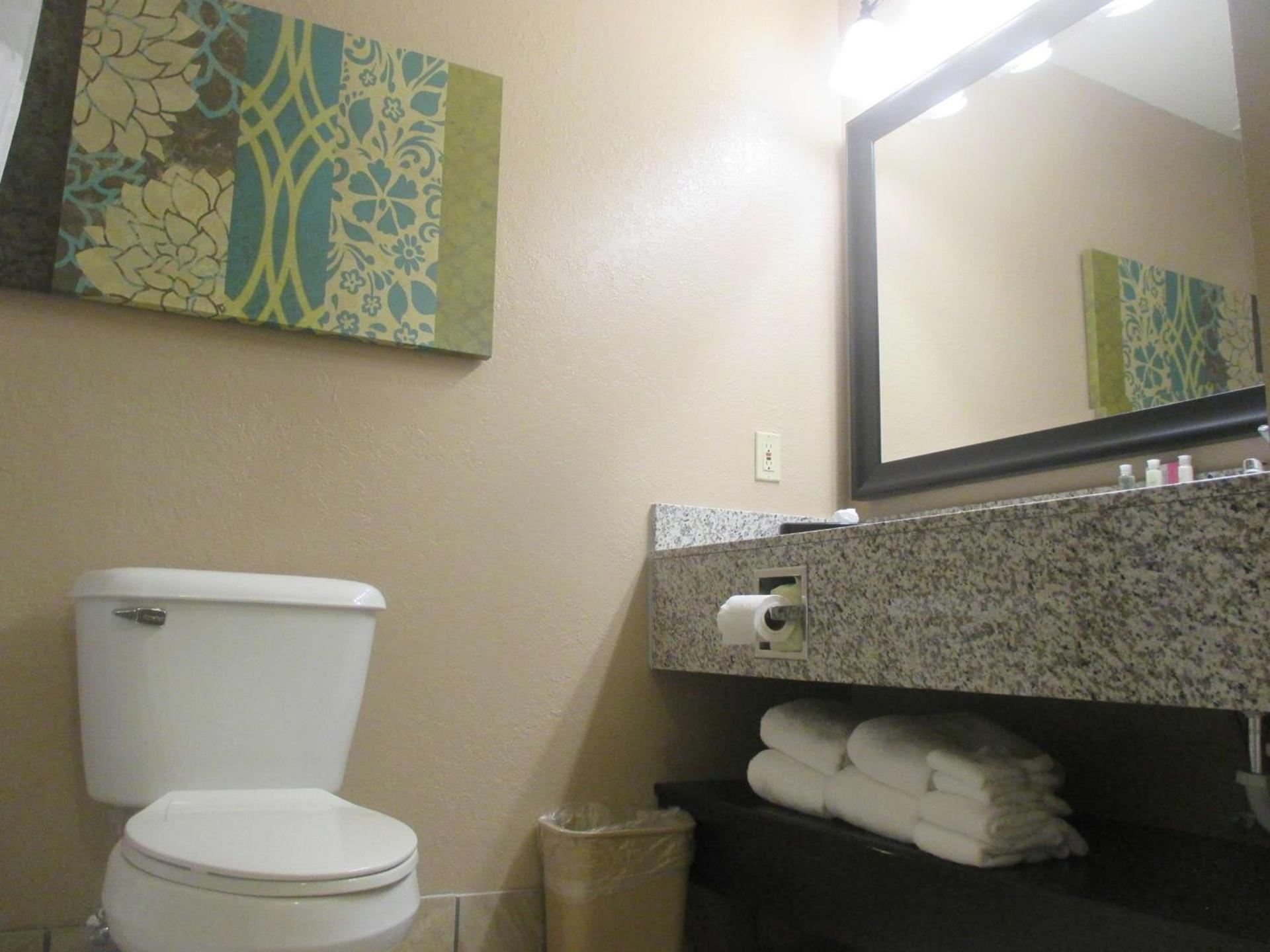 BEST WESTERN Plus Menomonie Inn & Suites photo 37