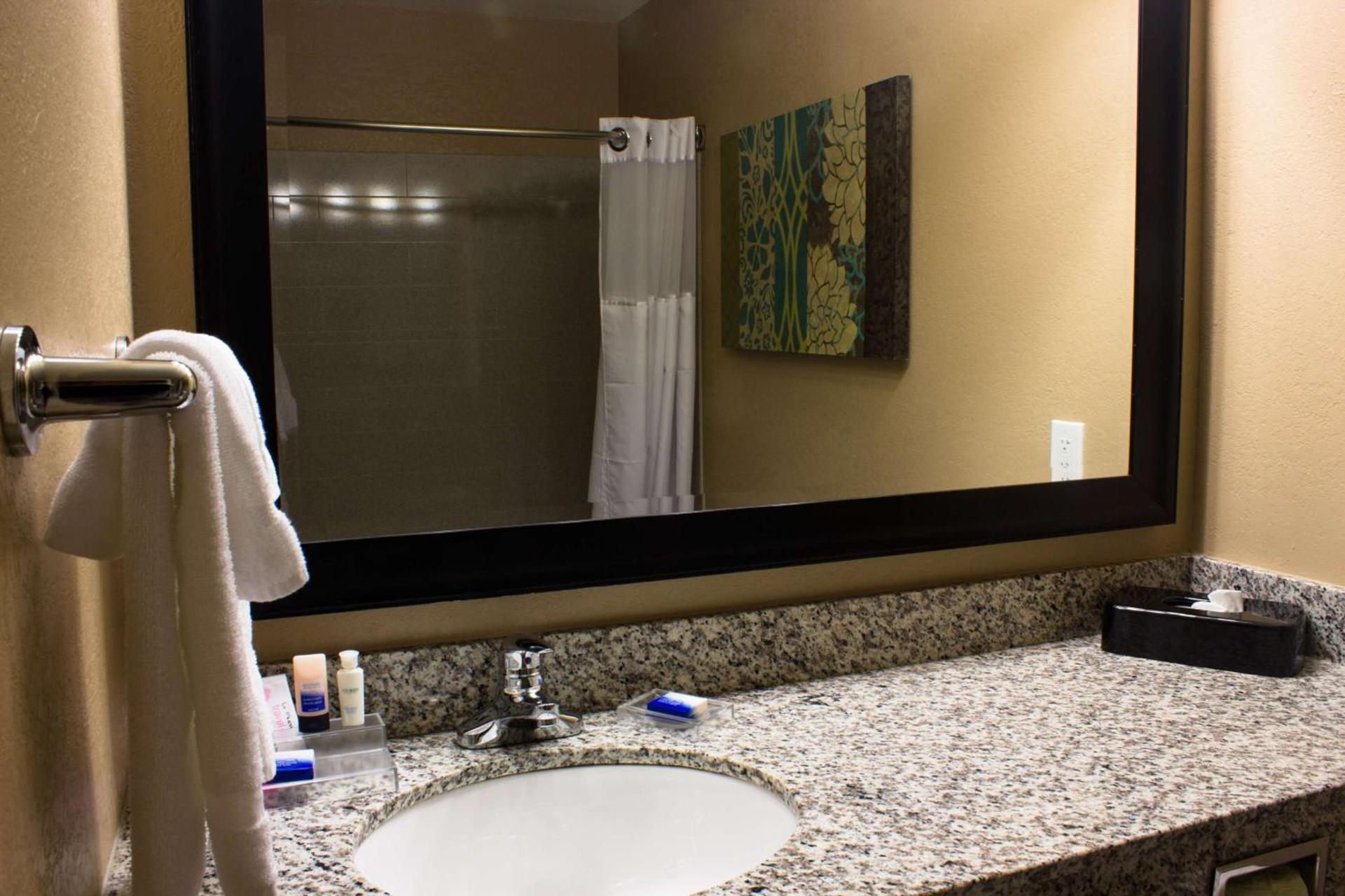 BEST WESTERN Plus Menomonie Inn & Suites photo 36