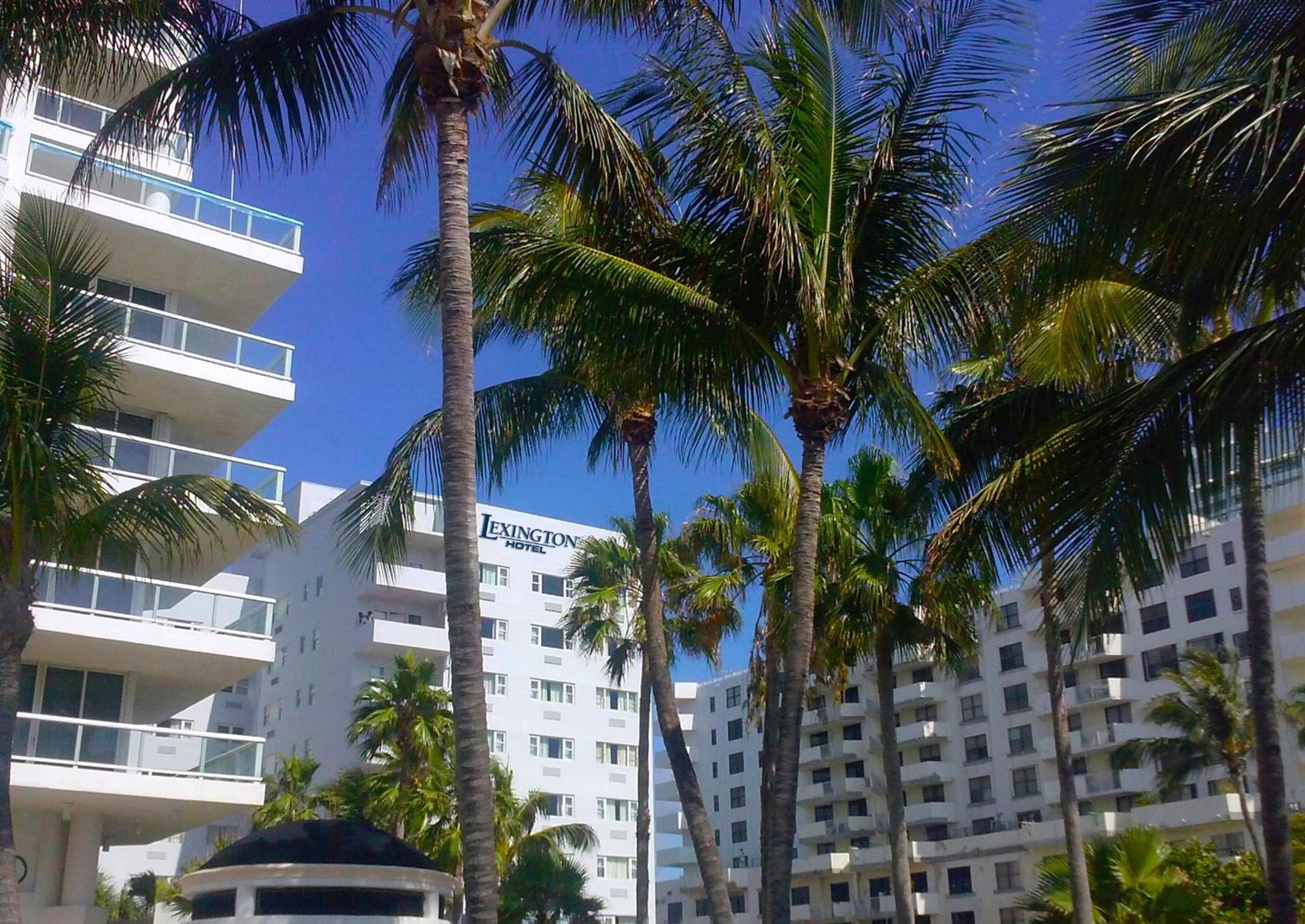 Lexington by Hotel RL Miami Beach photo 36