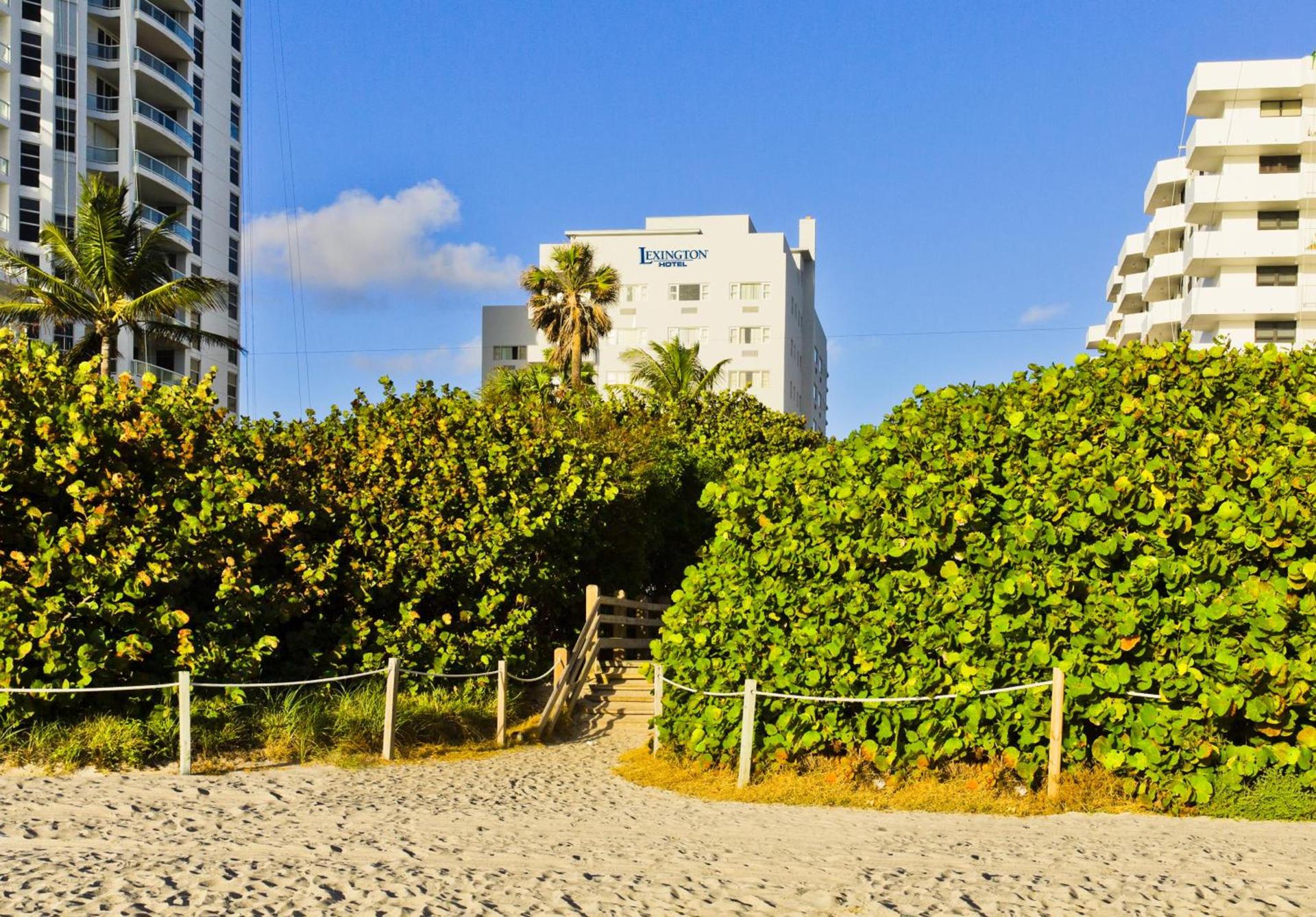 Lexington by Hotel RL Miami Beach photo 35