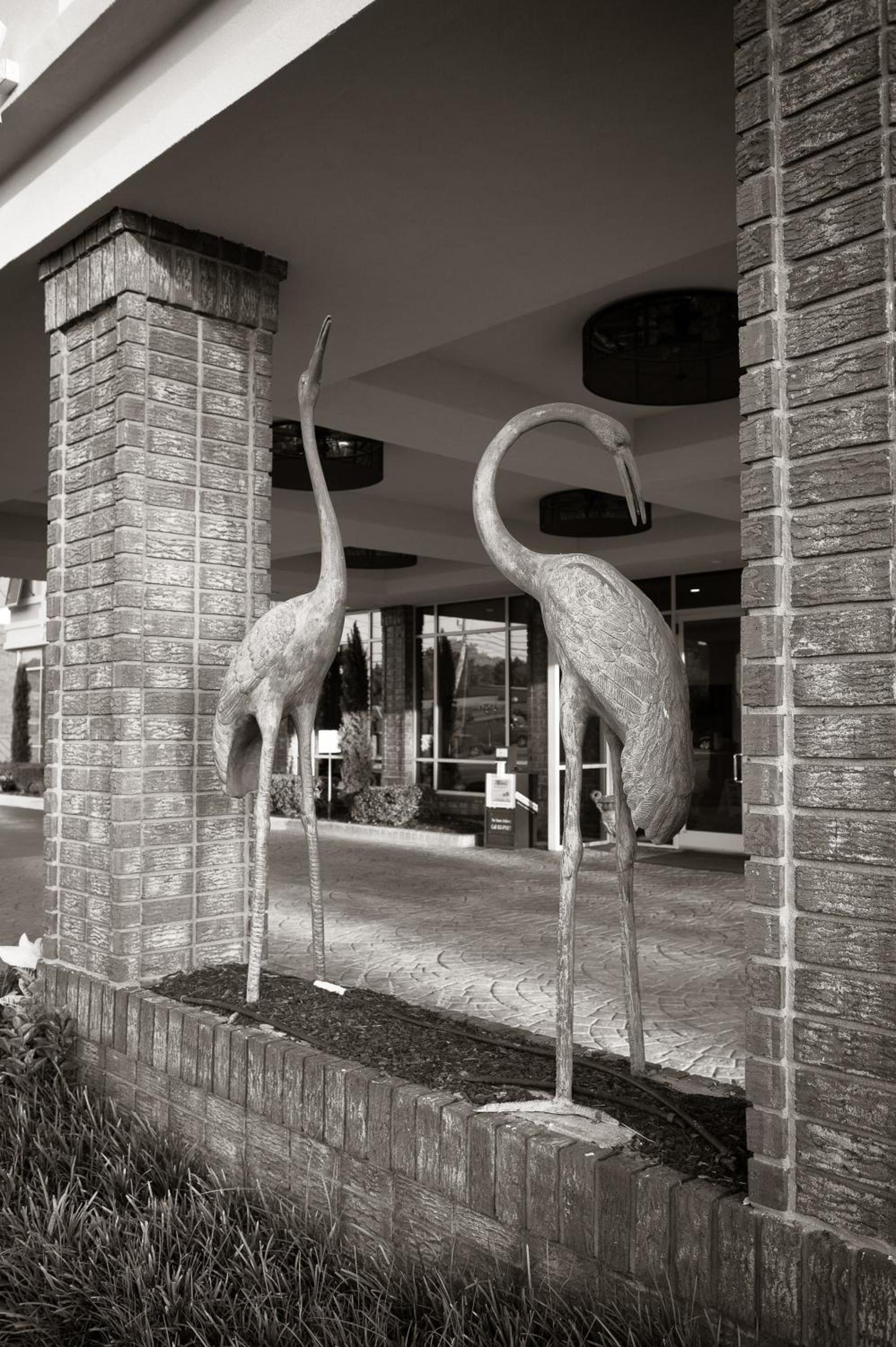 Town & Country Inn and Suites photo 12