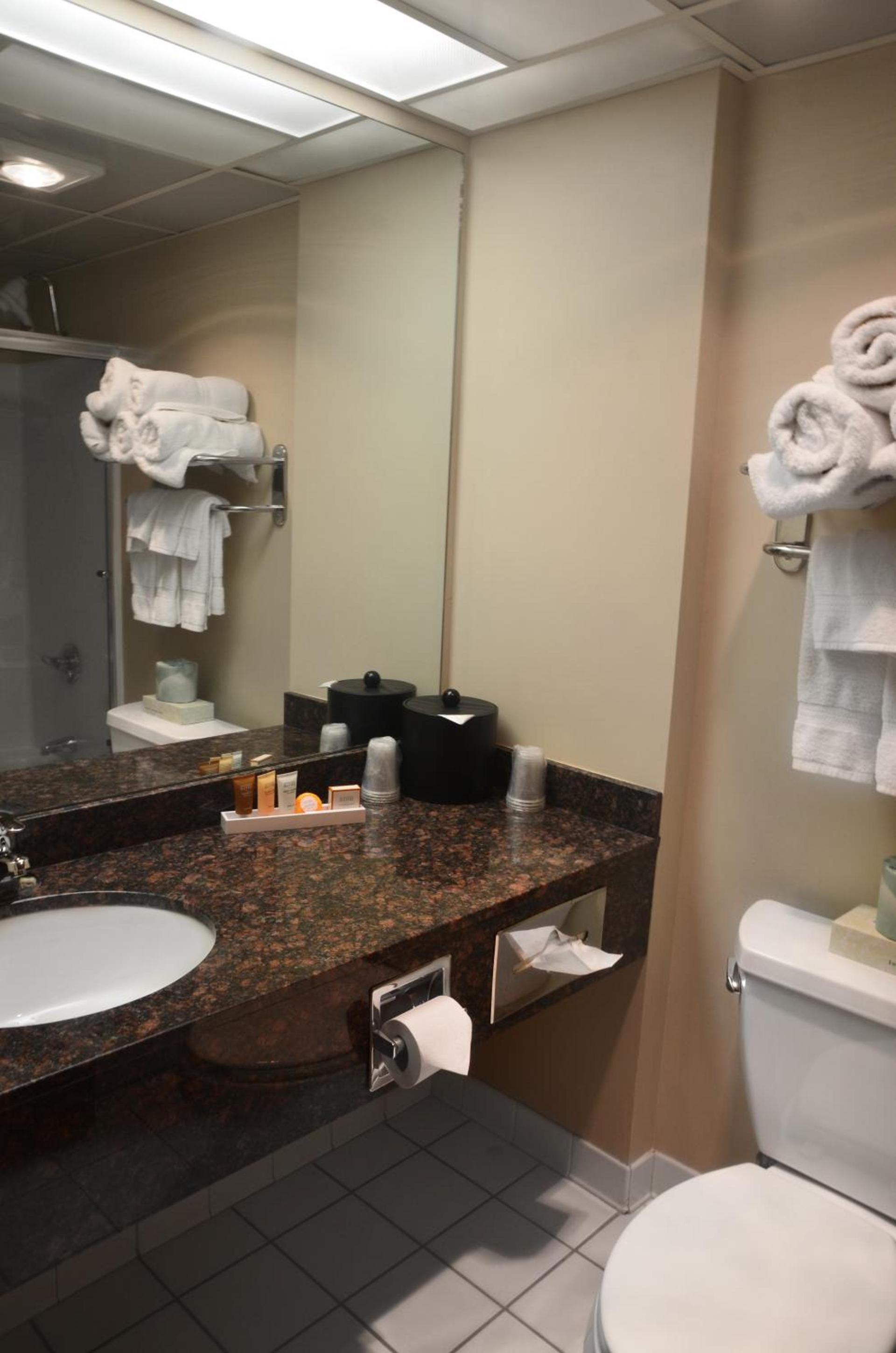 Centerstone Plaza Hotel Soldiers Field - Mayo Clinic Area photo 22