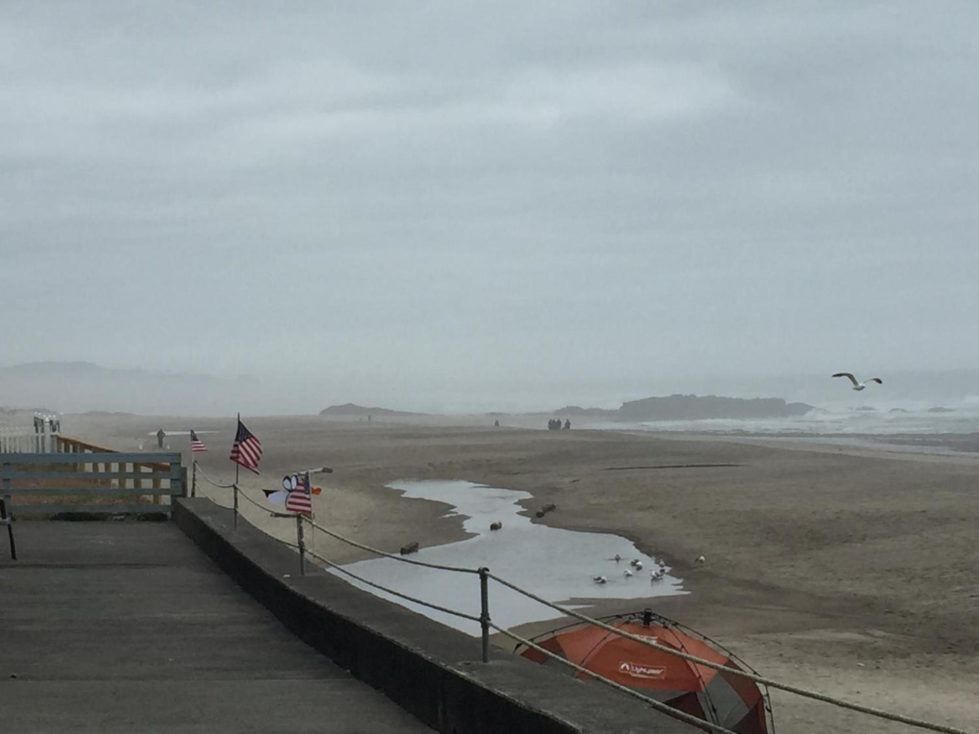The Sandcastle Beachfront Hotel photo 12