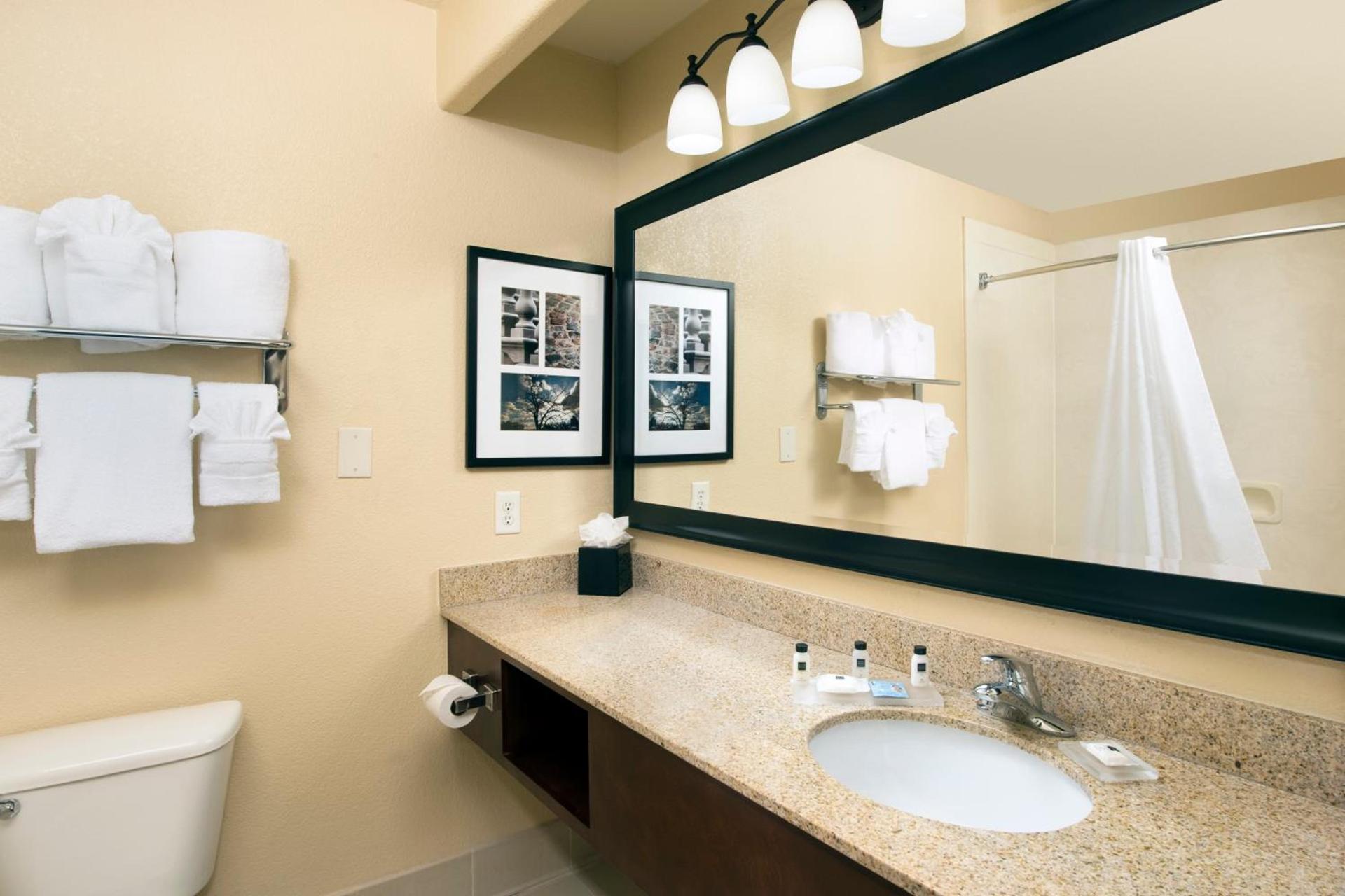 Country Inn & Suites by Radisson, Humble IAH East photo 39