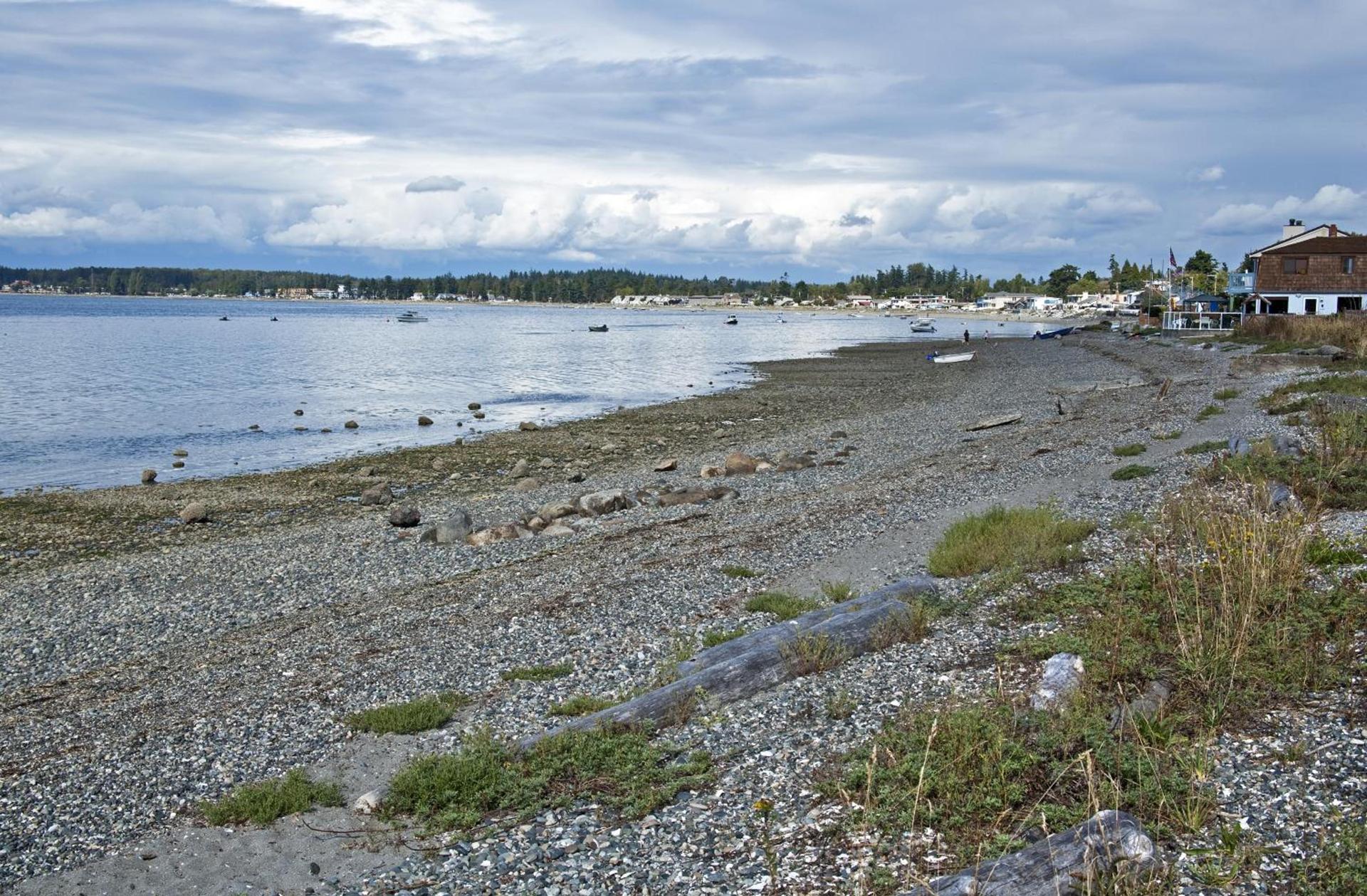 Raintree's Sandcastle, Birch Bay photo 44