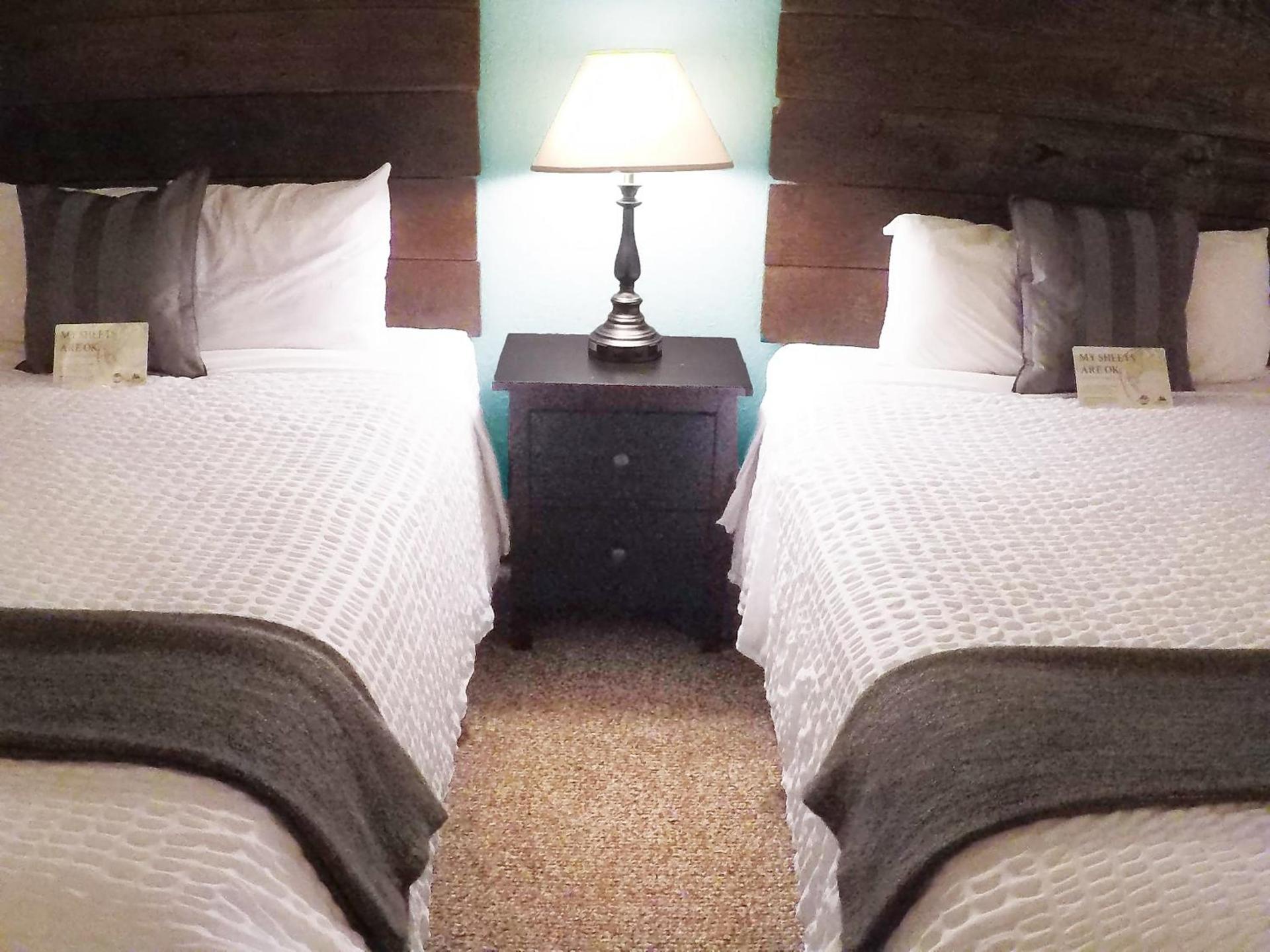 Mountain View Lodge photo 60