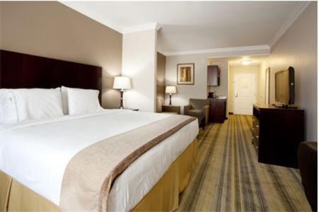 Holiday Inn Express & Suites - CUT OFF GALLIANO by IHG photo 2