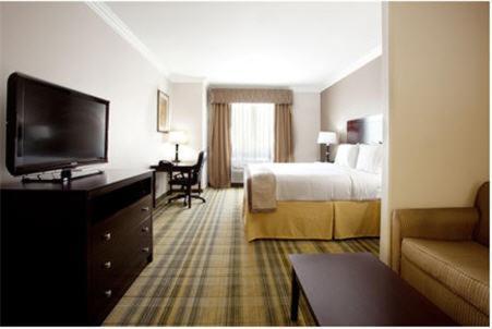 Holiday Inn Express & Suites - CUT OFF GALLIANO by IHG photo 3