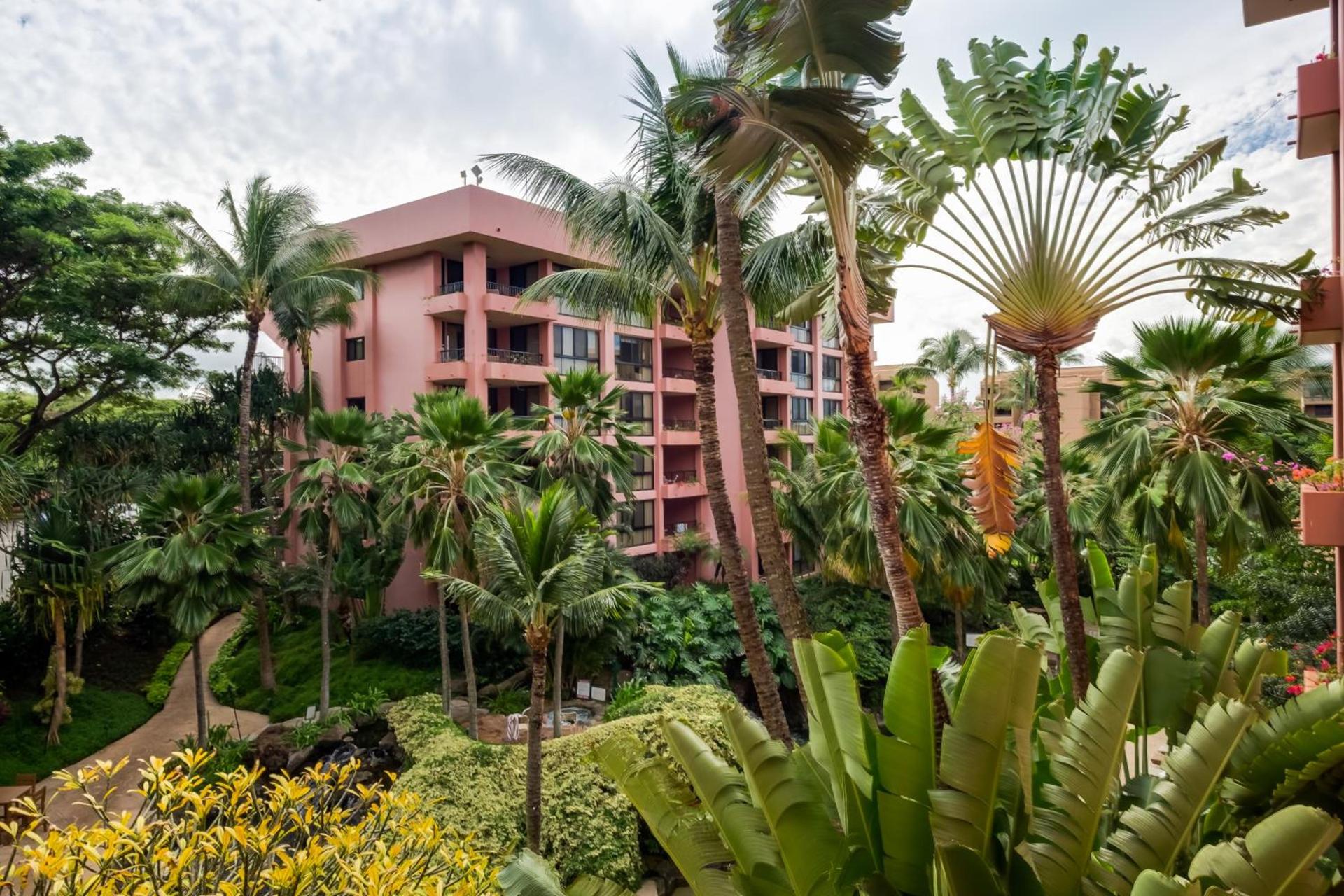 Kahana Falls Resort photo 3