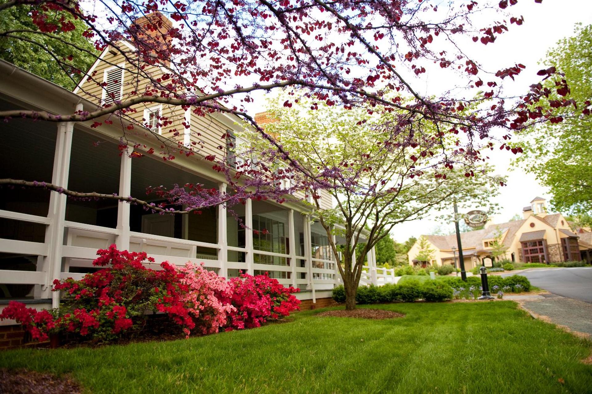 Boar's Head Resort photo 56