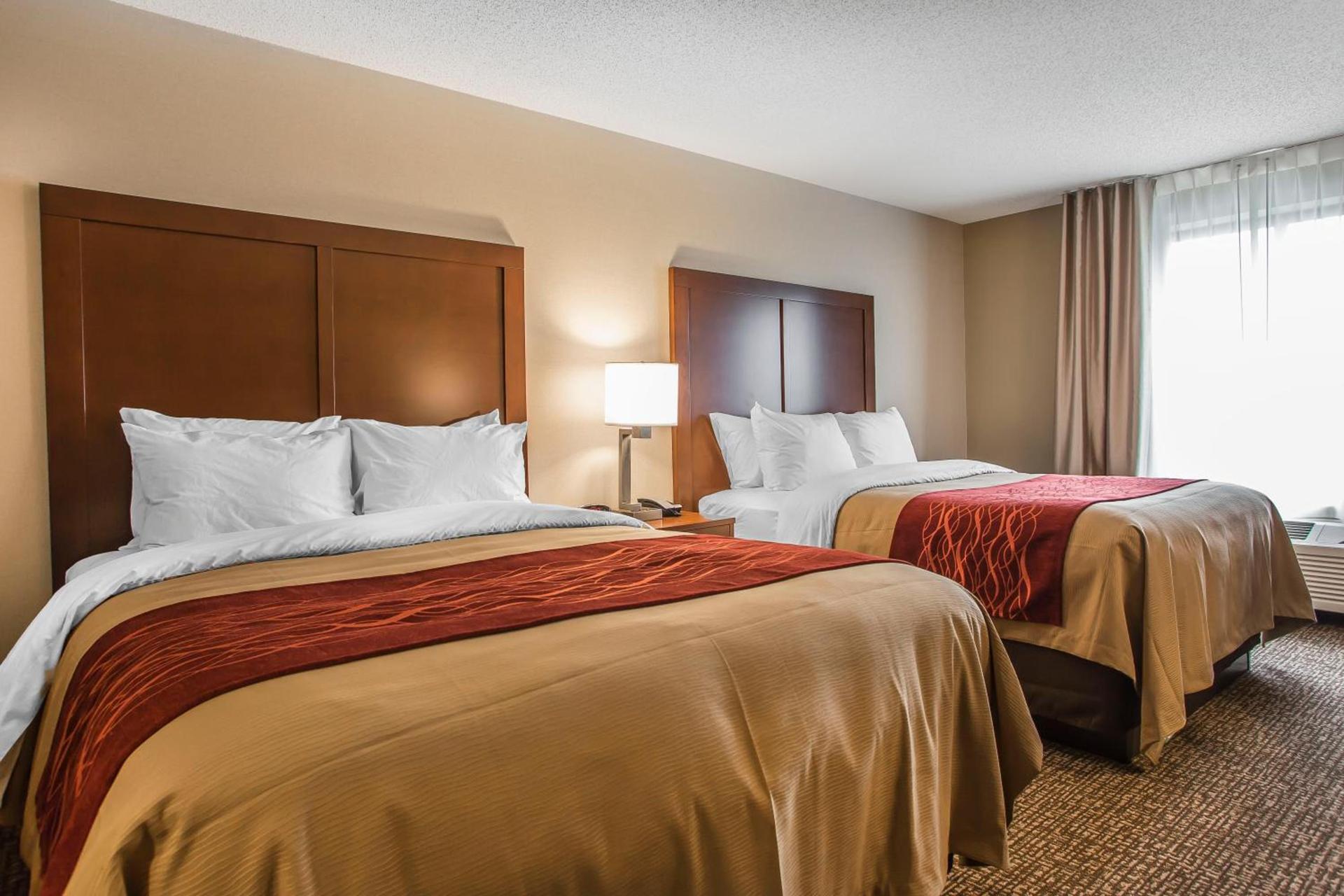 Comfort Inn PA Turnpike - I-81 photo 17