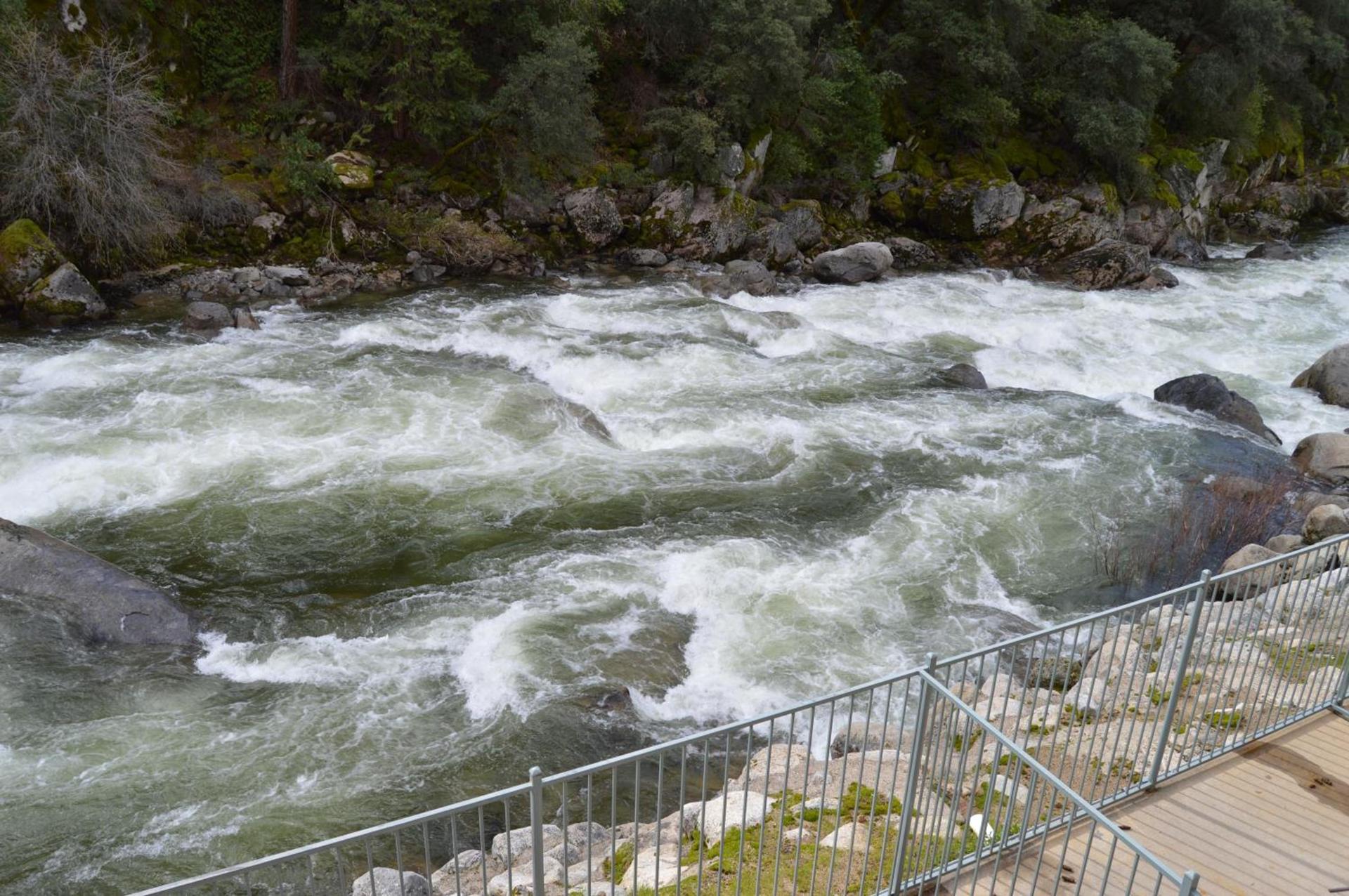 Yosemite View Lodge photo 81