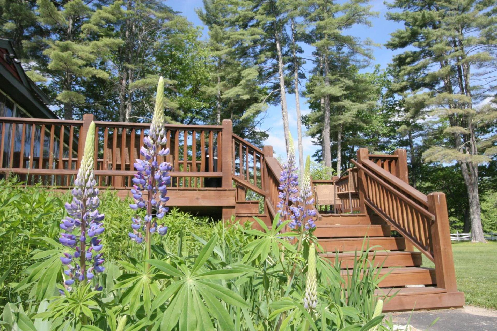 Old Saco Inn photo 8