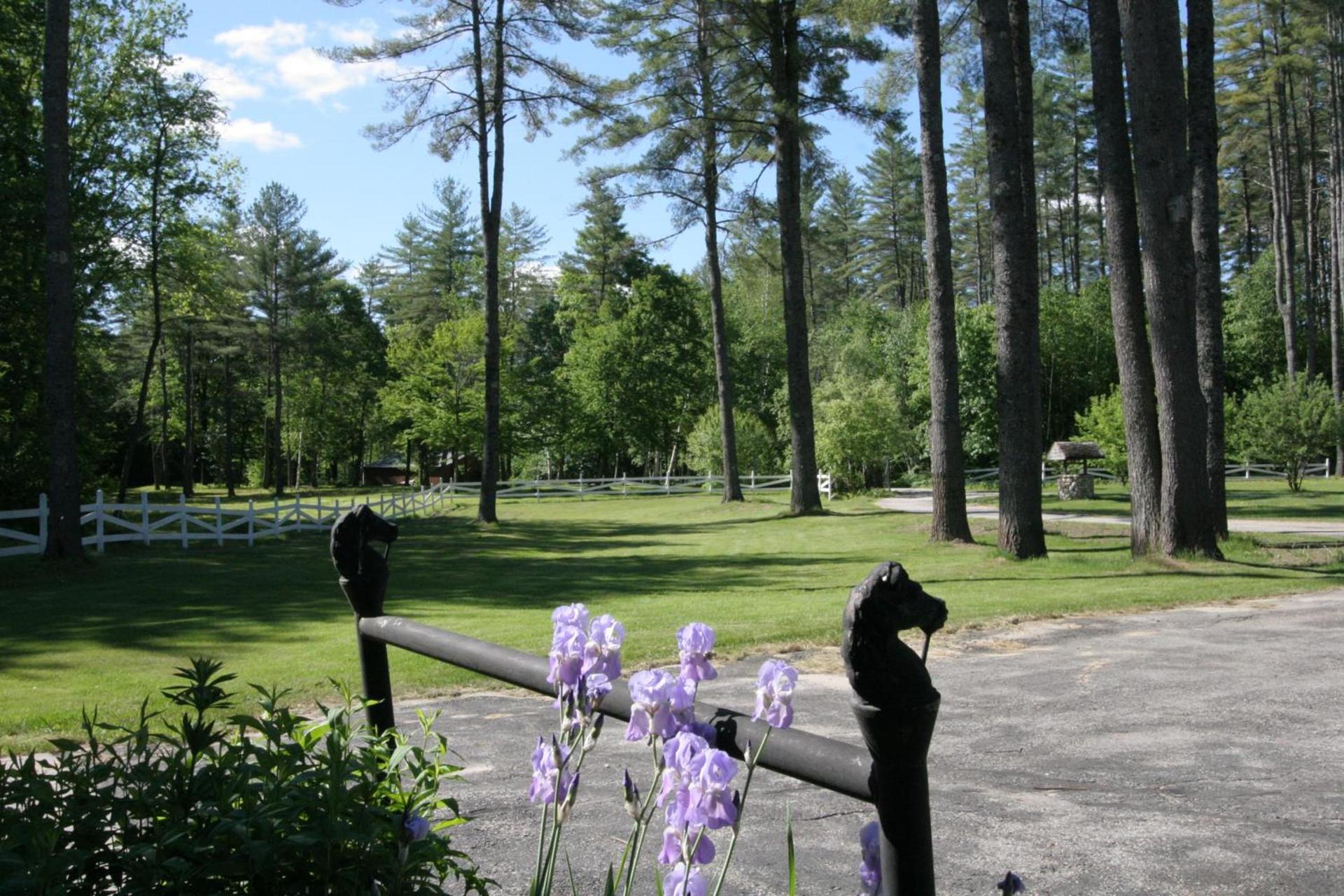 Old Saco Inn photo 9