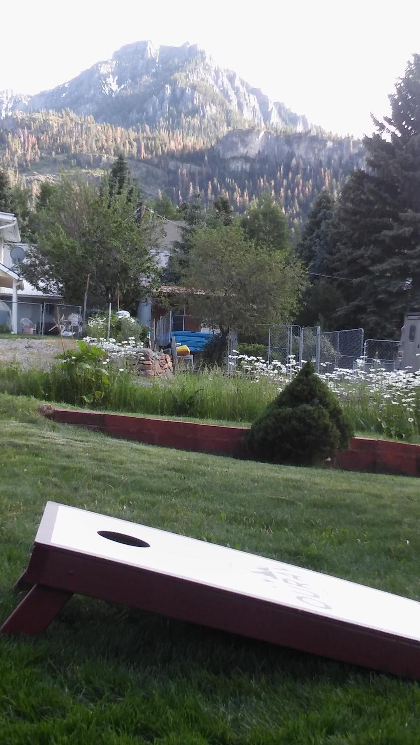 Ouray Inn photo 58