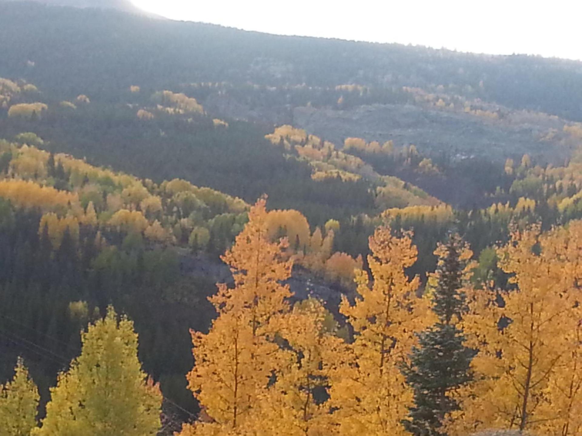 Ouray Inn photo 53