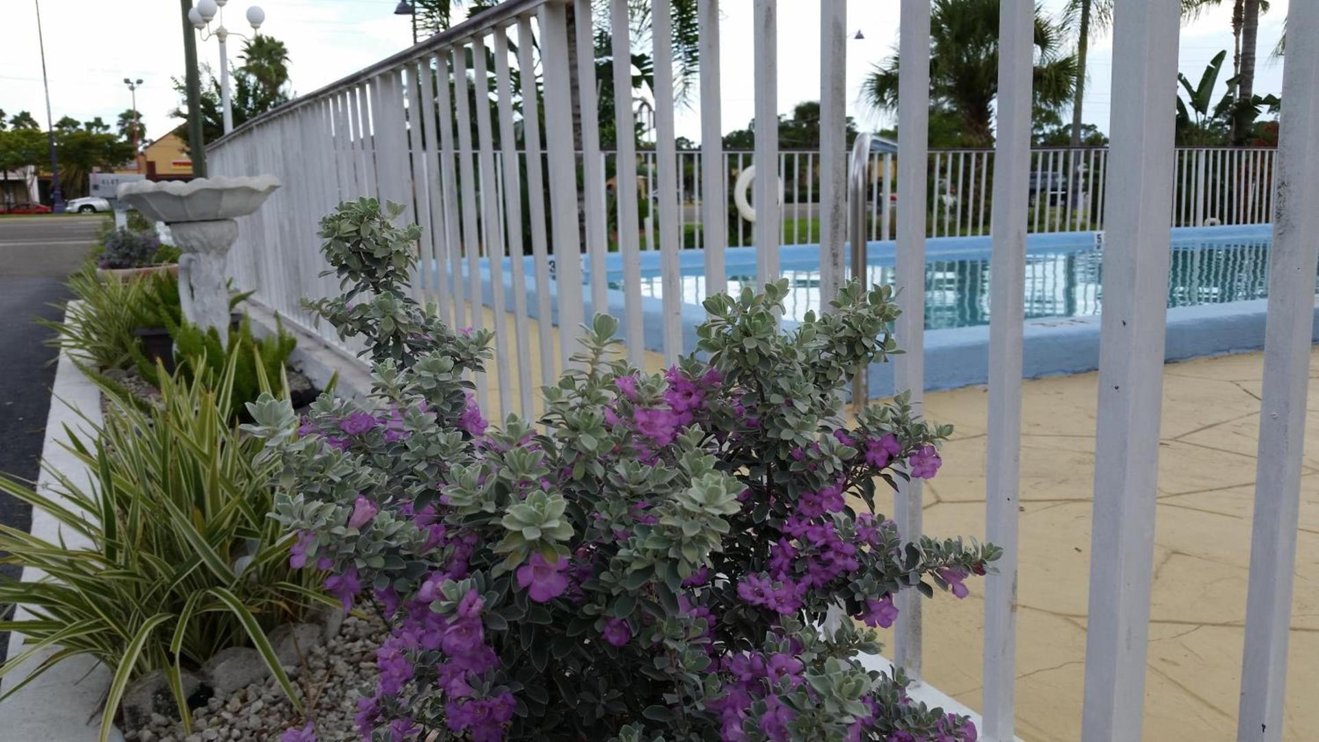 Maple Leaf Inn & Suites photo 6
