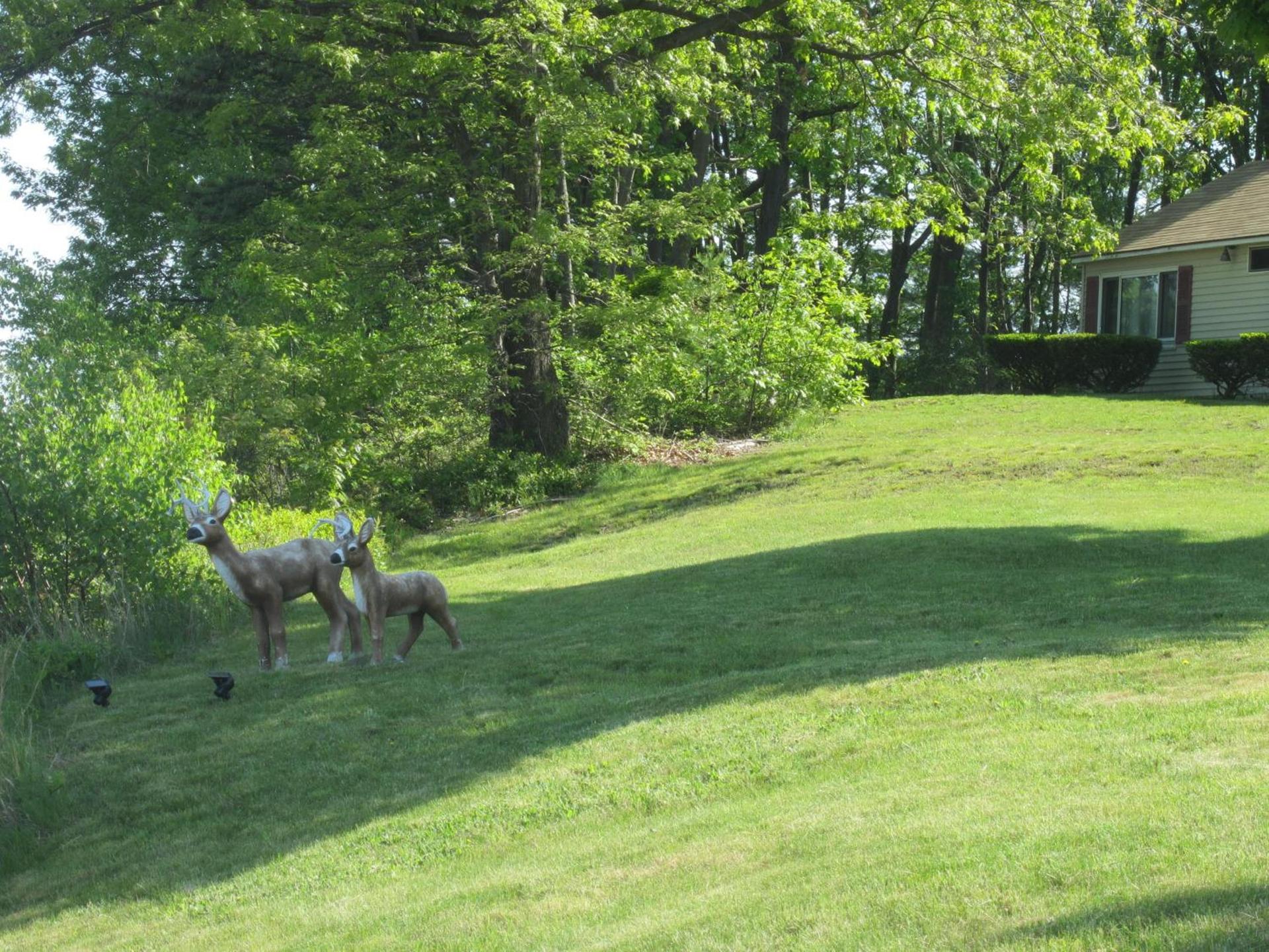 Northeaster Motel photo 13