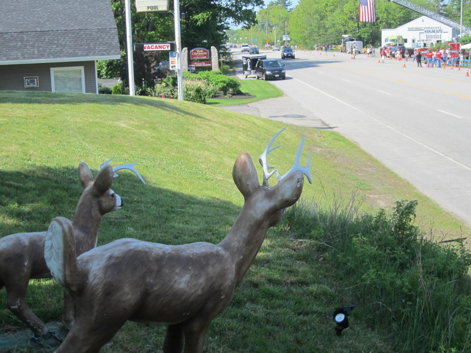 Northeaster Motel photo 12