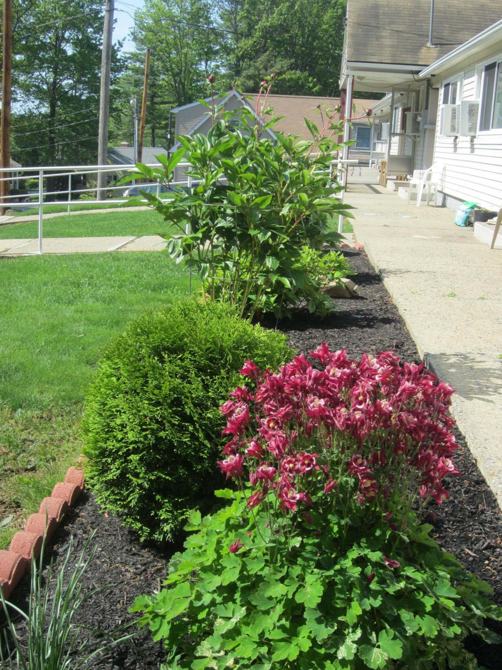 Northeaster Motel photo 36